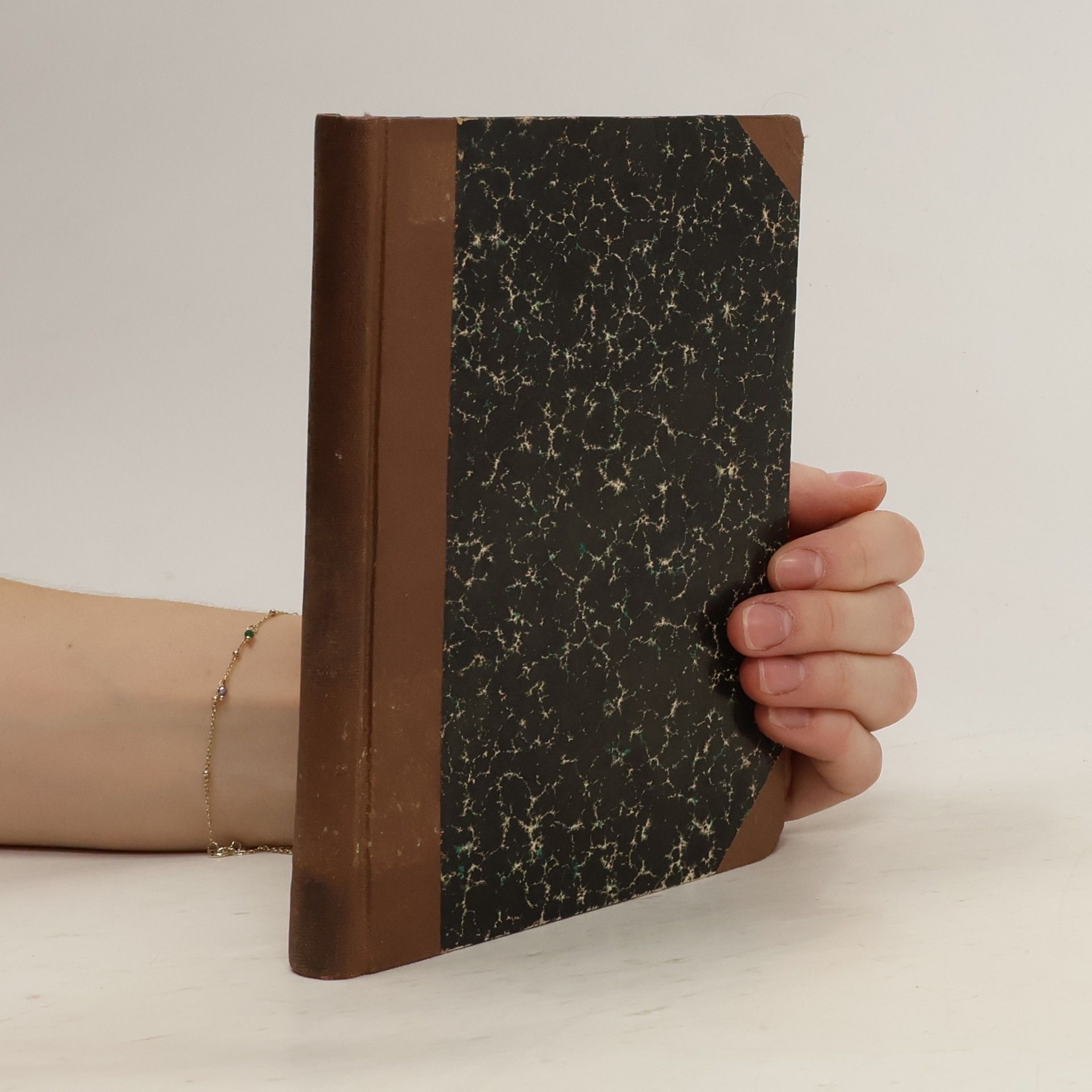 Divadelní studie a referáty II. Dílo Jana Nerudy XXI.