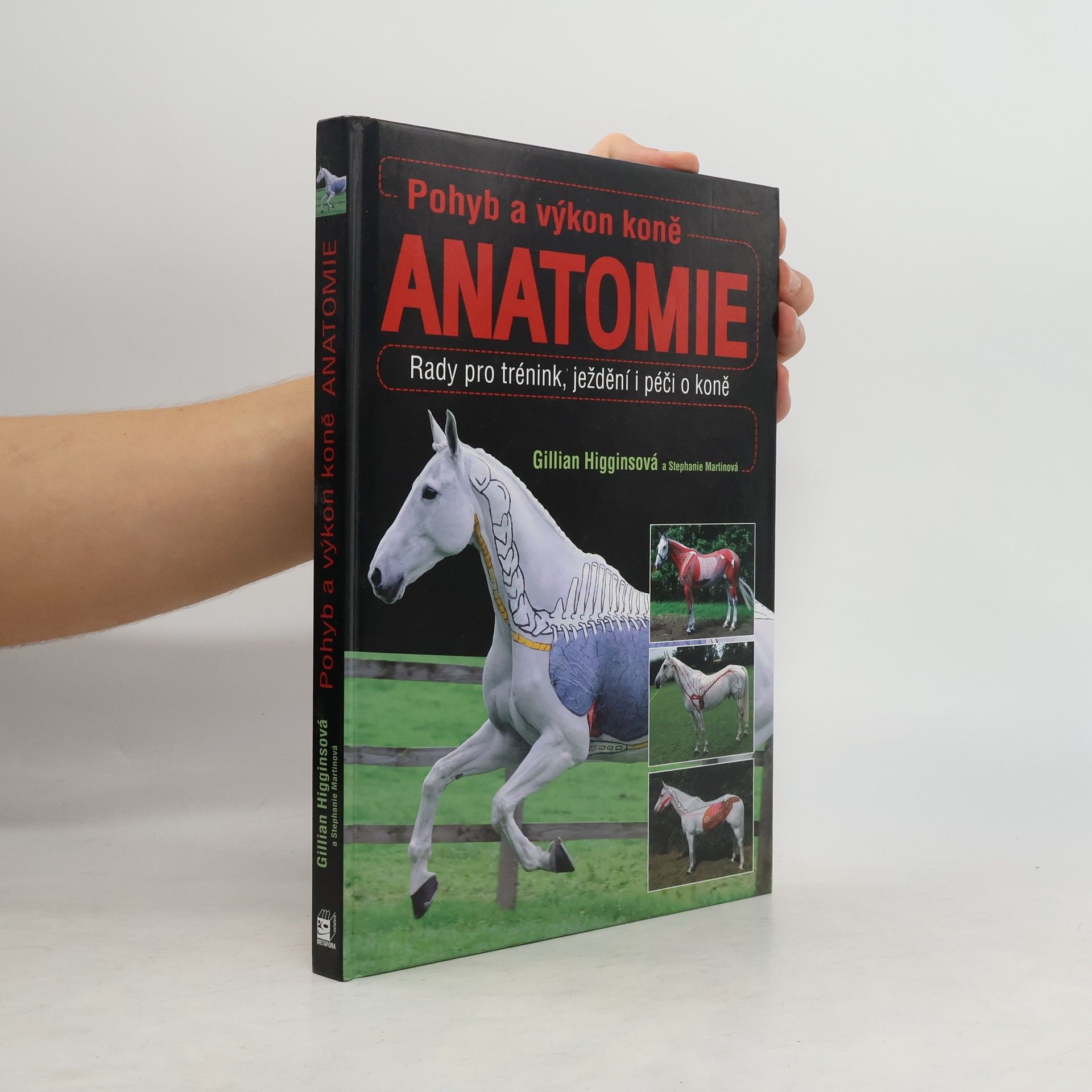 Gillian Higgins Pohyb a výkon koně. Anatomie