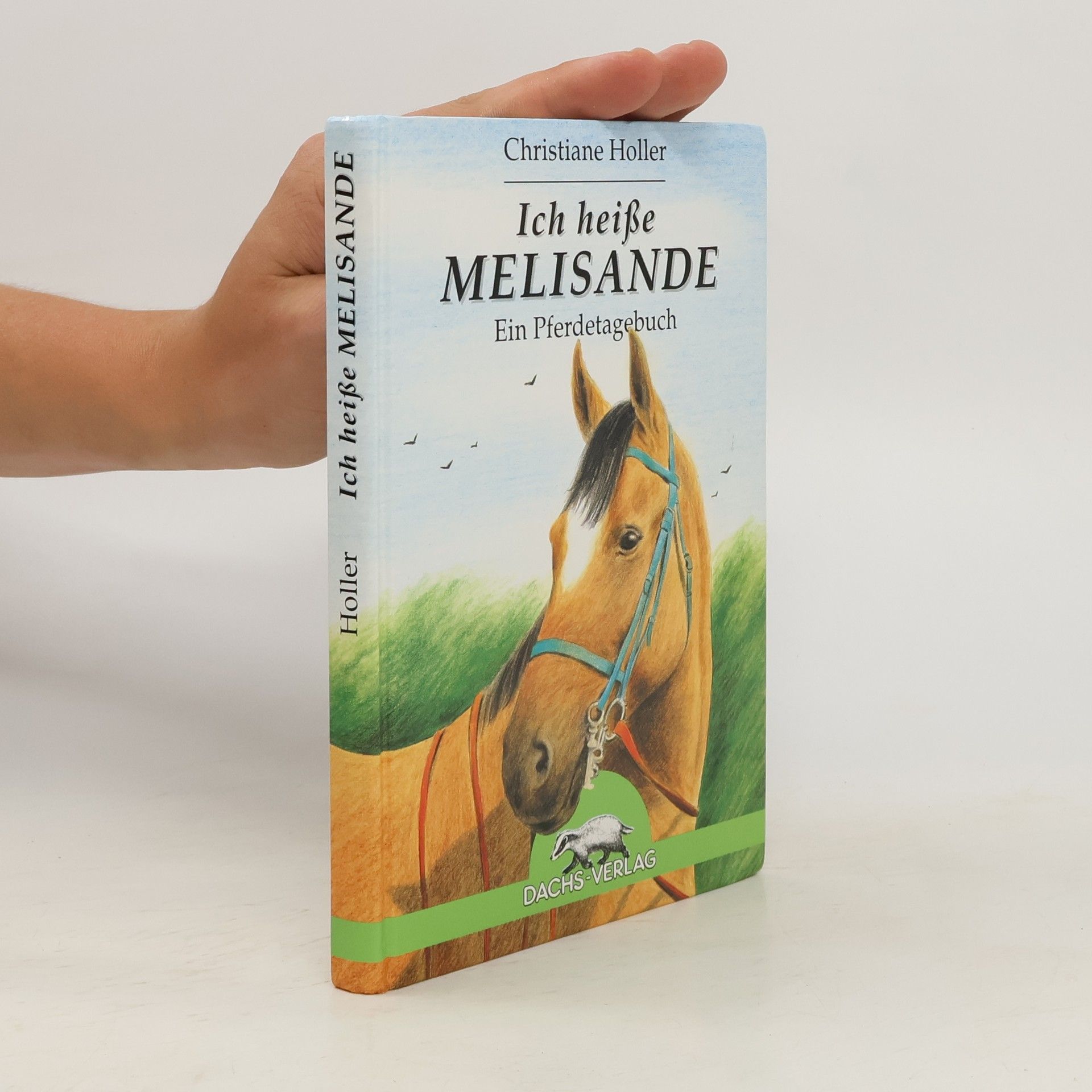 Christiane Holler Ich heiße Melisande. Ein Pferdetagebuch