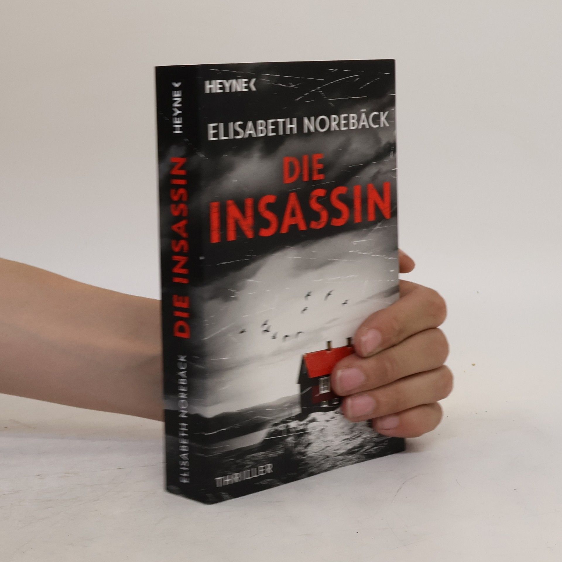Elisabeth Norebäck Die Insassin