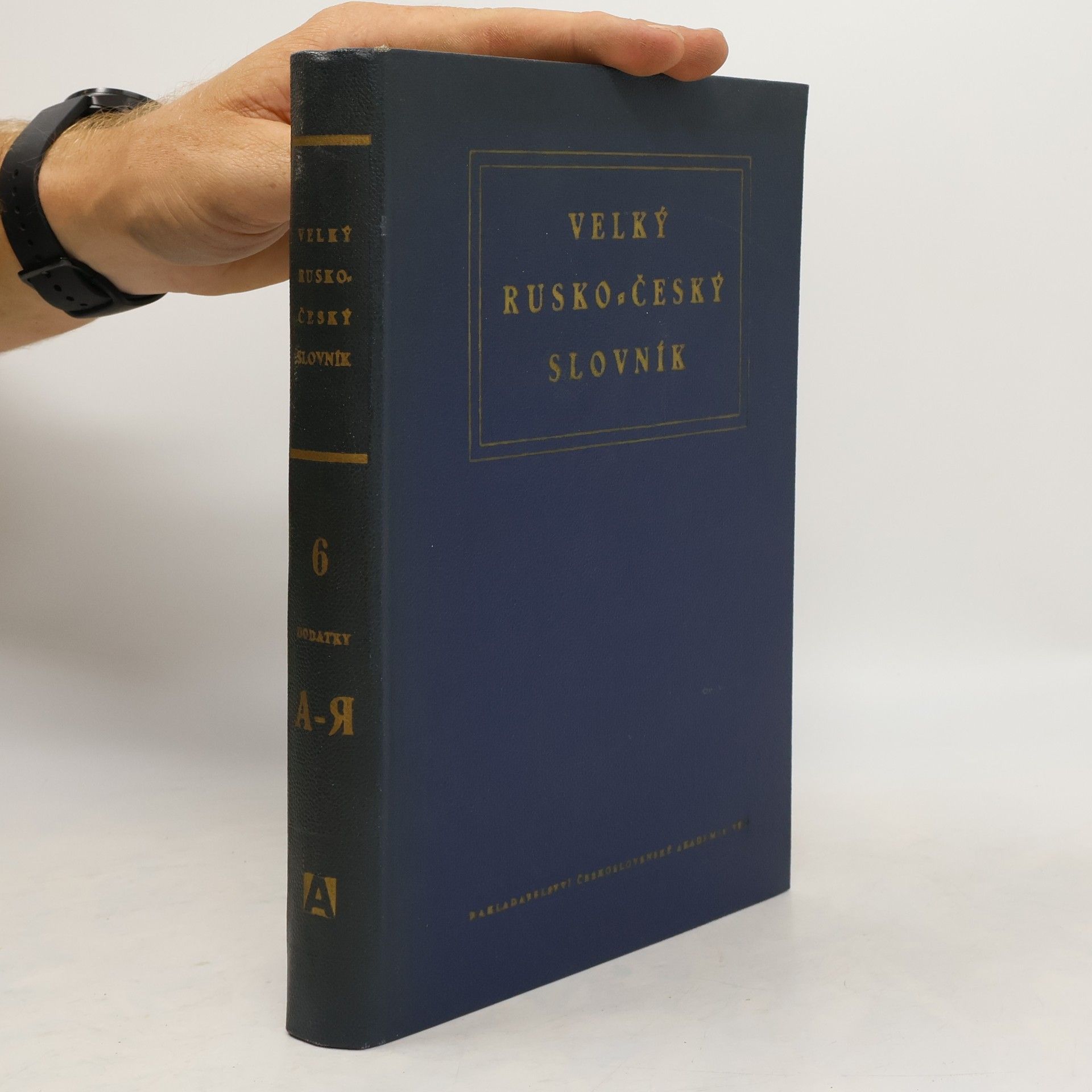Autorenkollektiv Velký rusko-český slovník 6. A-Я