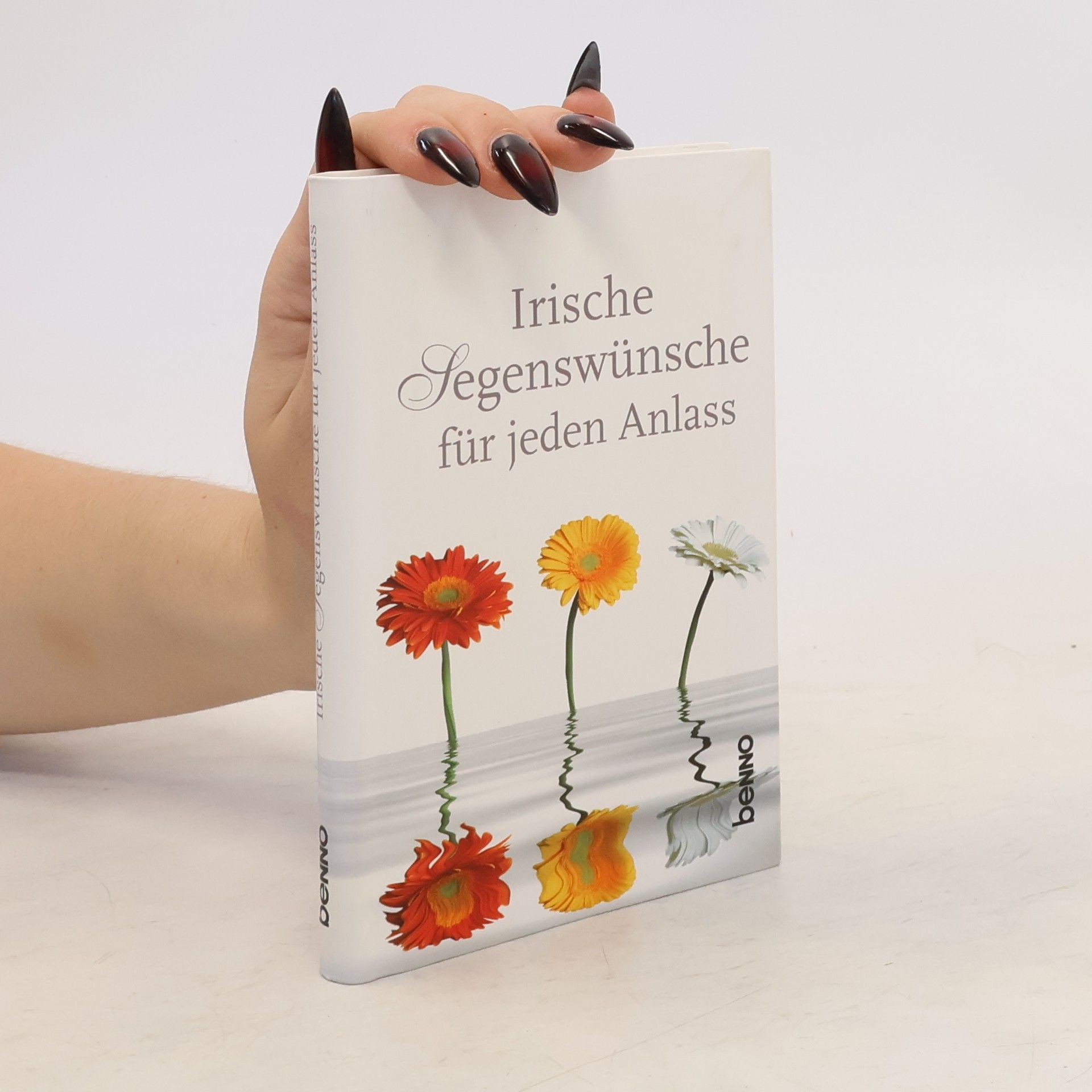 Autorenkollektiv Irische Segenswunsche fur jeden Anlass