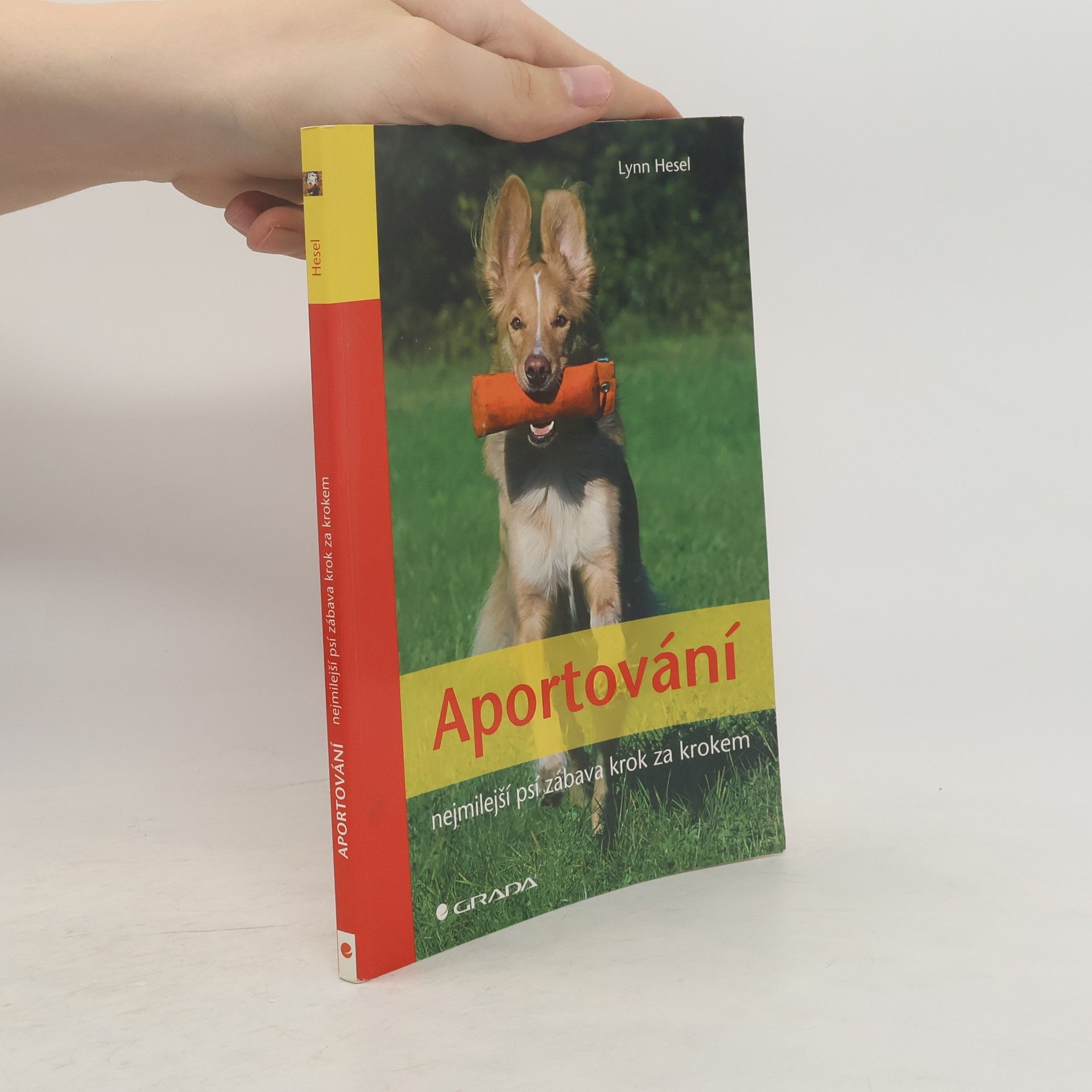 Lynn Hesel Aportování