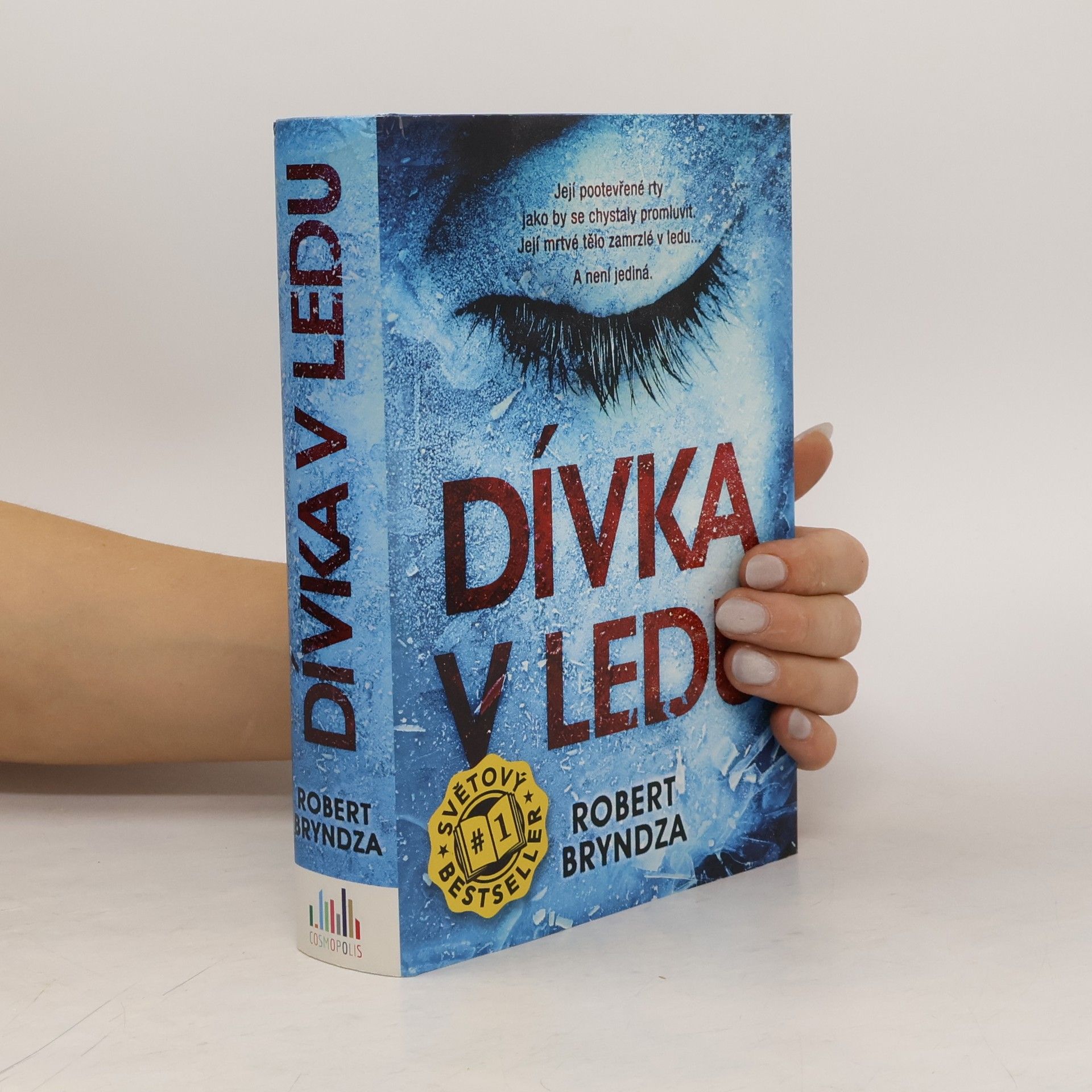 Robert Bryndza Dívka v ledu