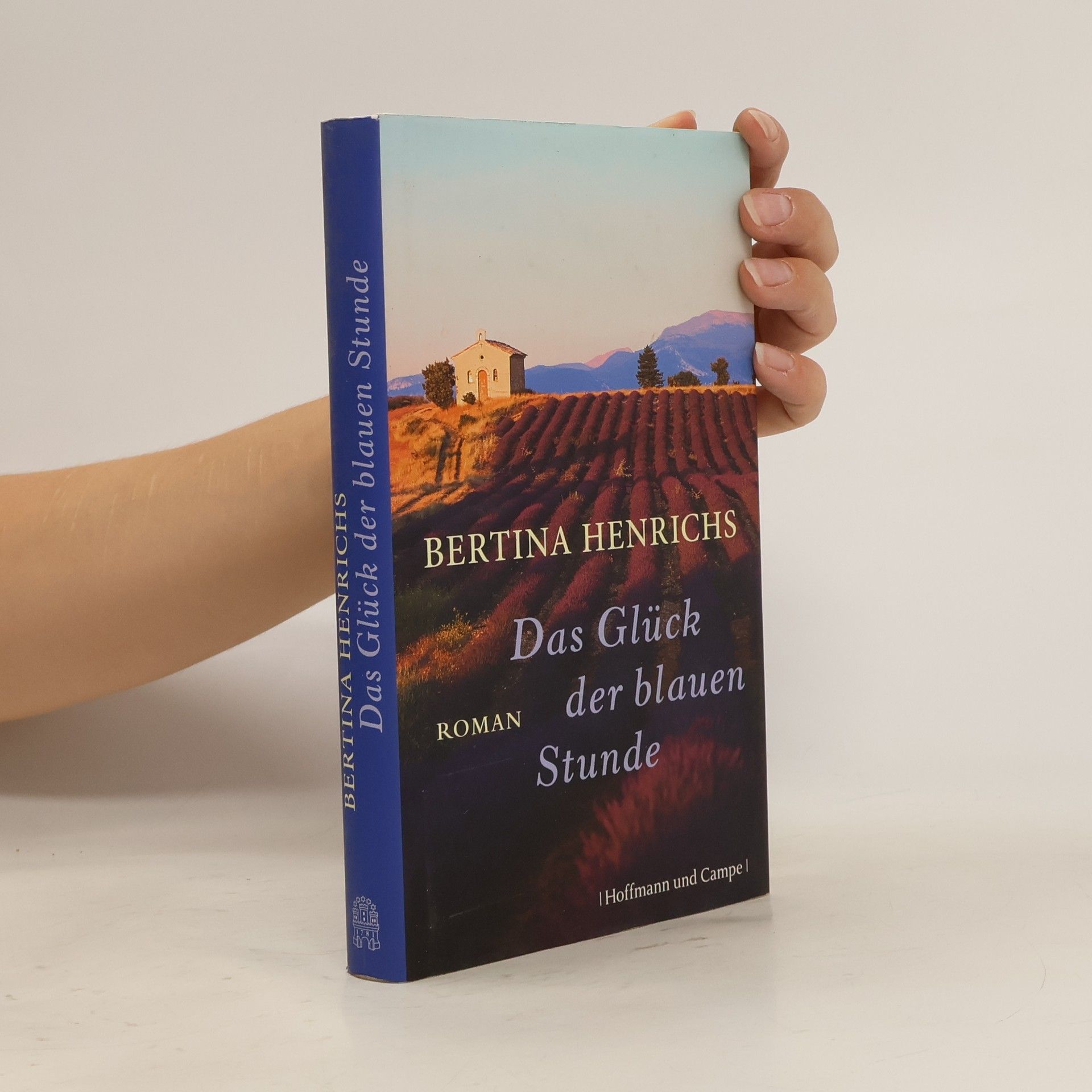 Bertina Henrichs Das Glück der blauen Stunde