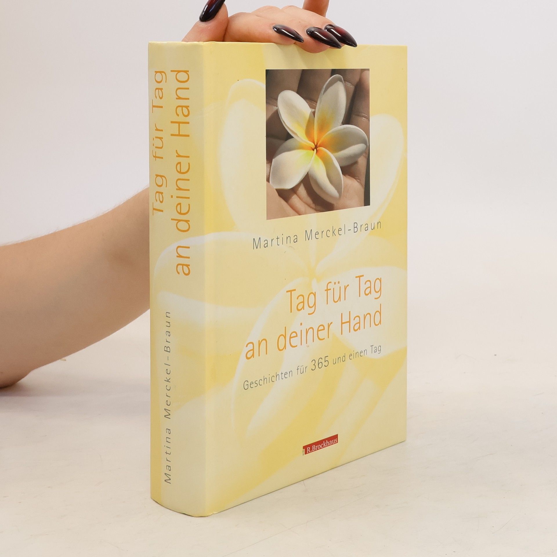 Martina Merckel-Braun Tag für Tag an deiner Hand