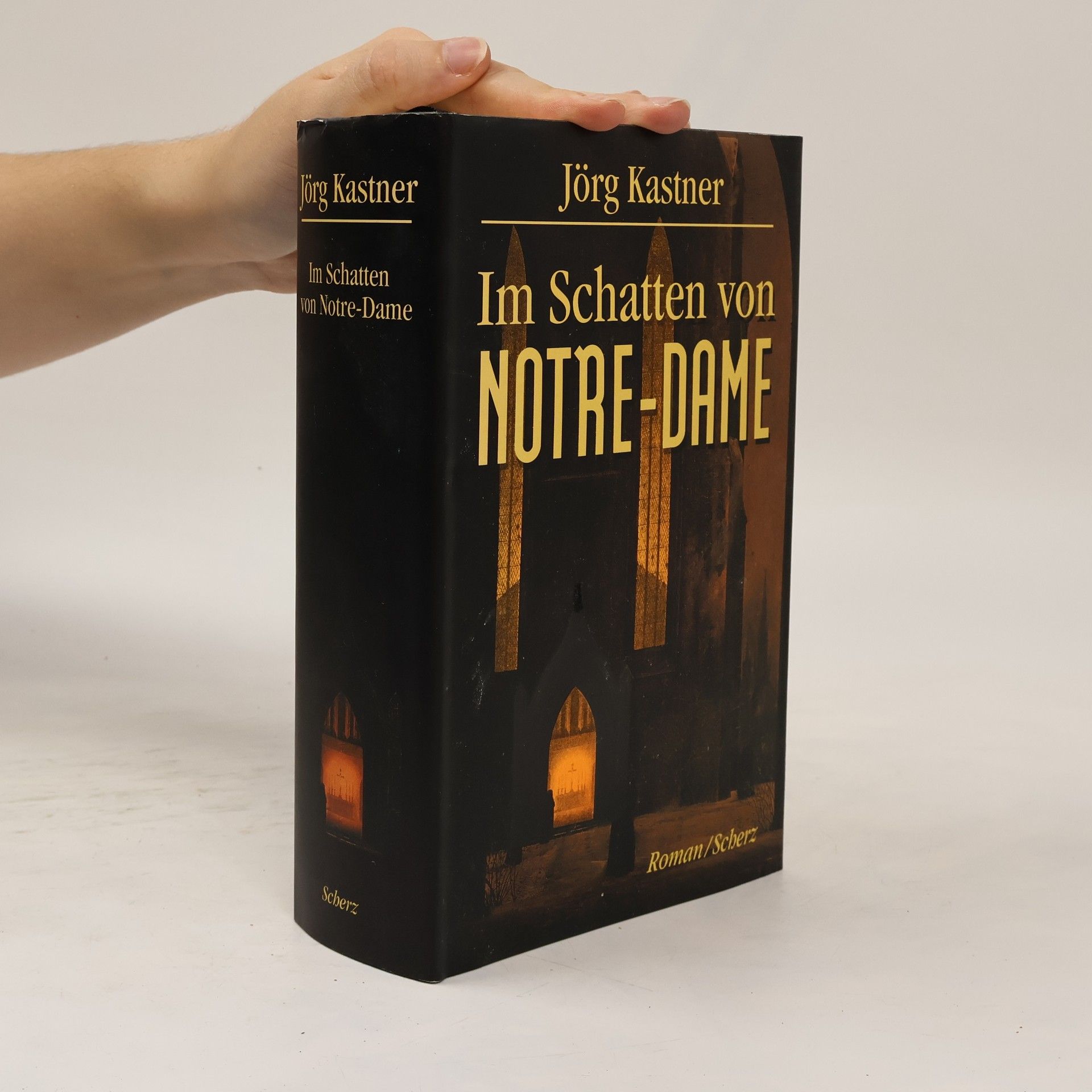Jörg Kastner Im Schatten von Notre-Dame