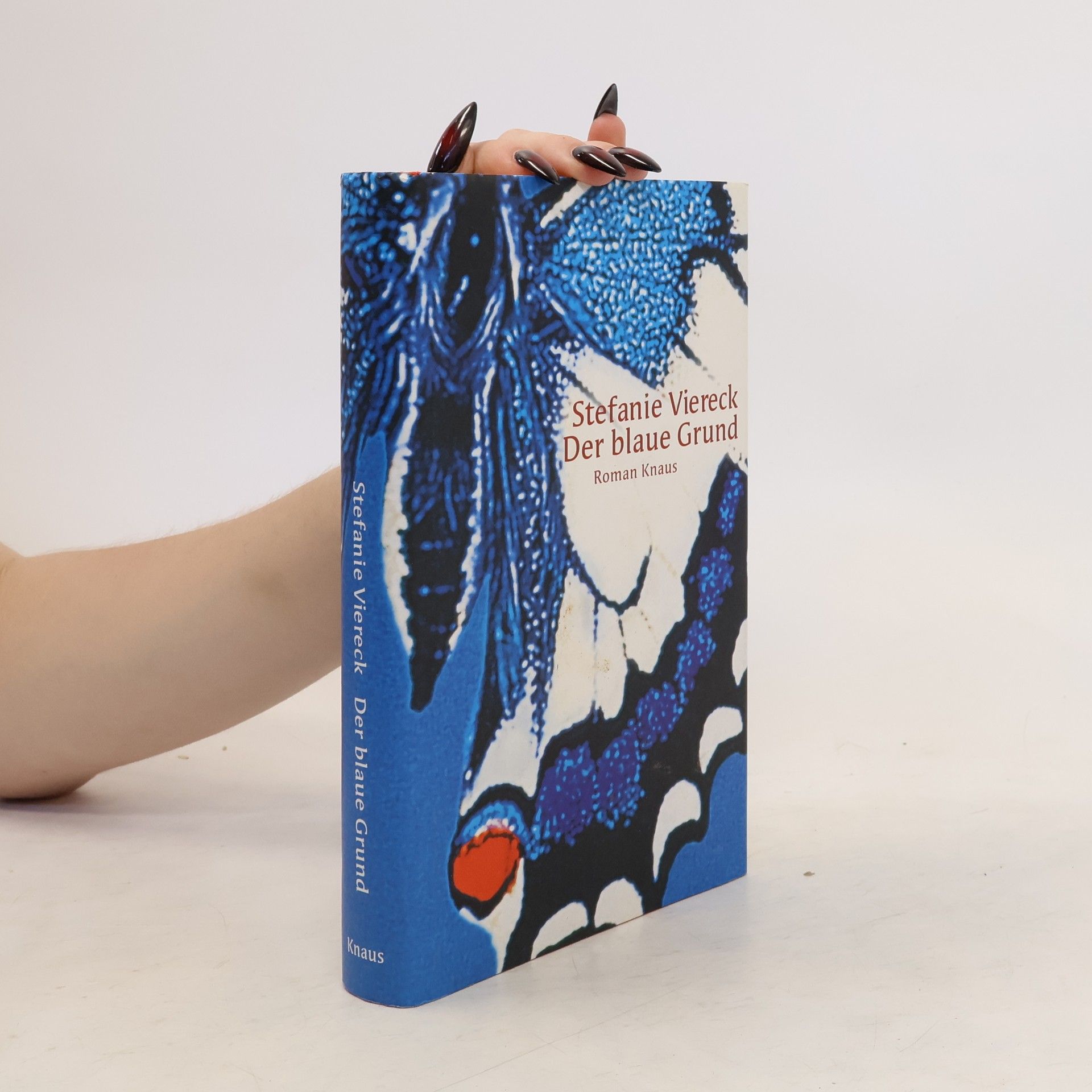 Stefanie Viereck Der blaue Grund