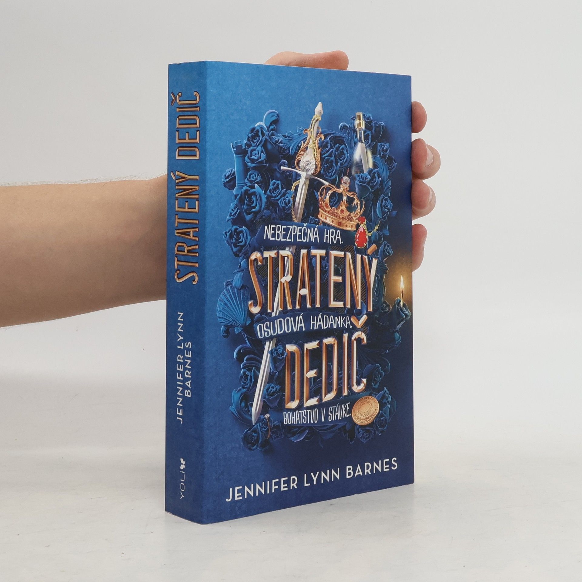 Jennifer Lynn Barnes Stratený dedič