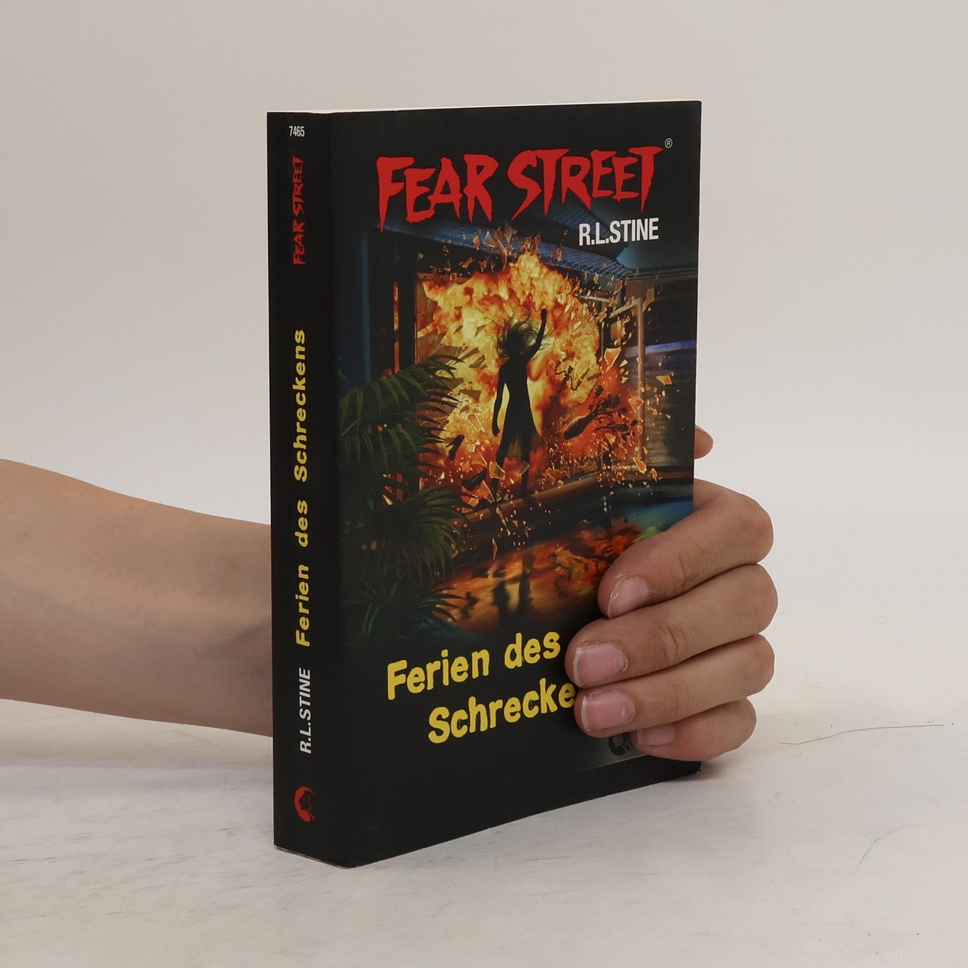 R. L. Stine Fear Street. Ferien des Schreckens