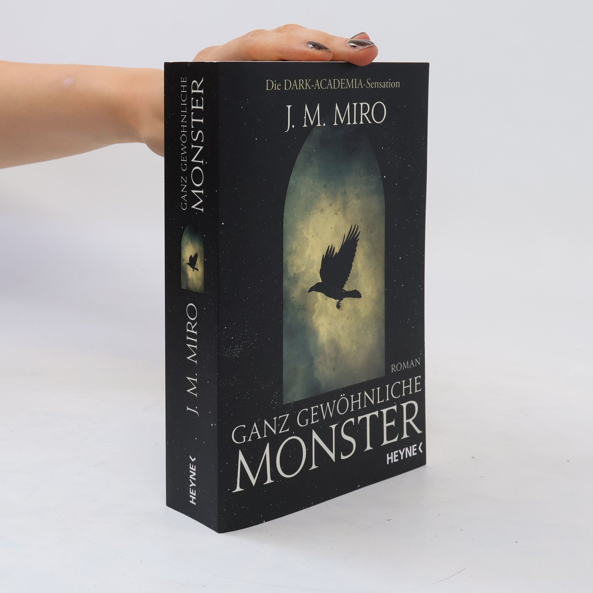Miro Jilo Ganz gewöhnliche Monster - Dunkle Talente