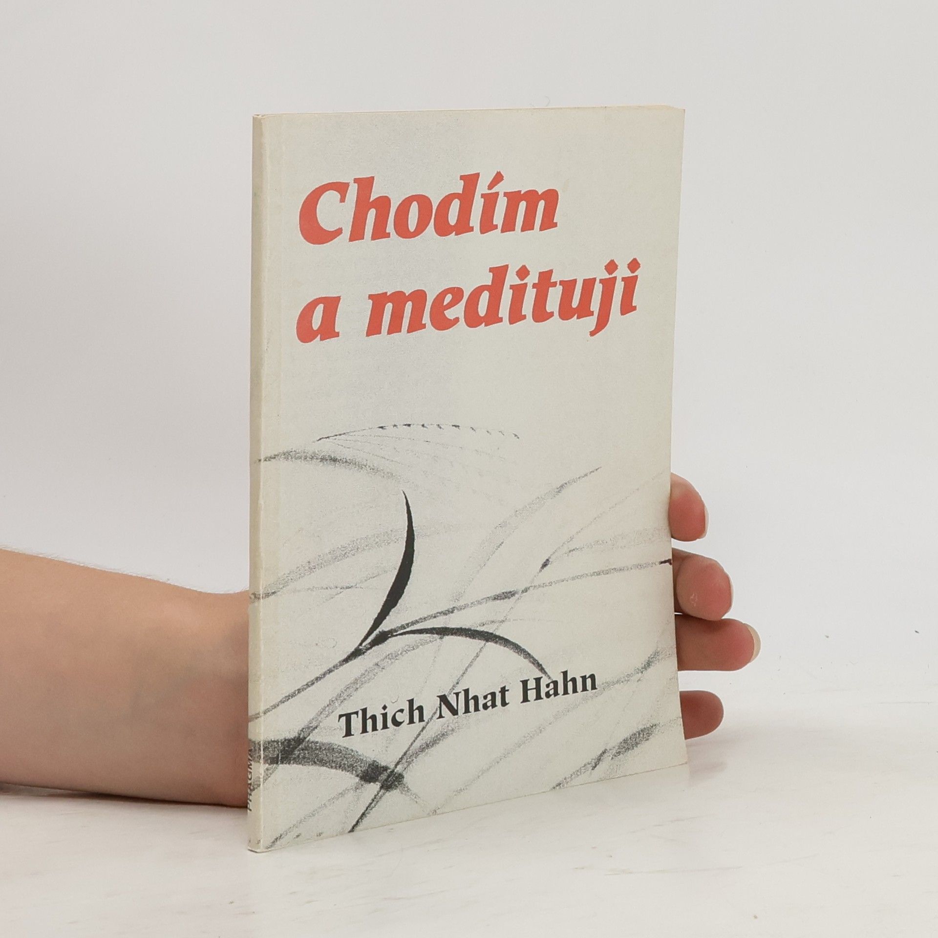 Thich Nhat Hanh Chodím a medituji