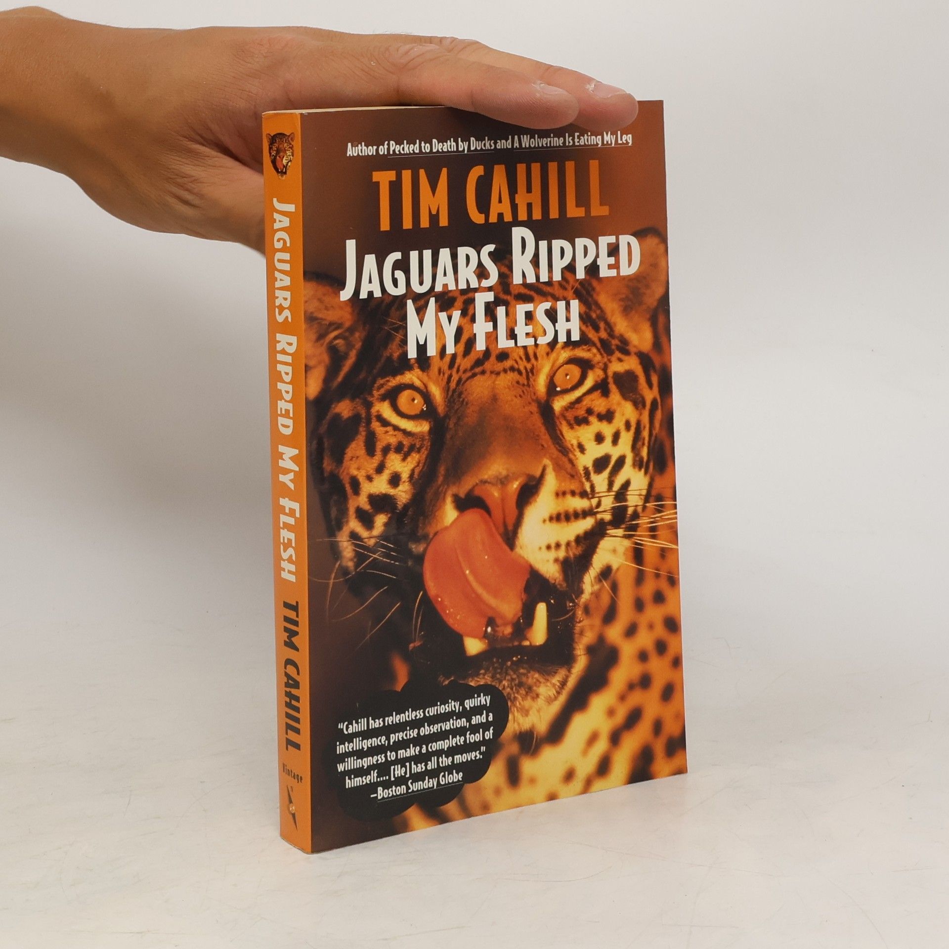 Tim Cahill Jaguars Ripped My Flesh