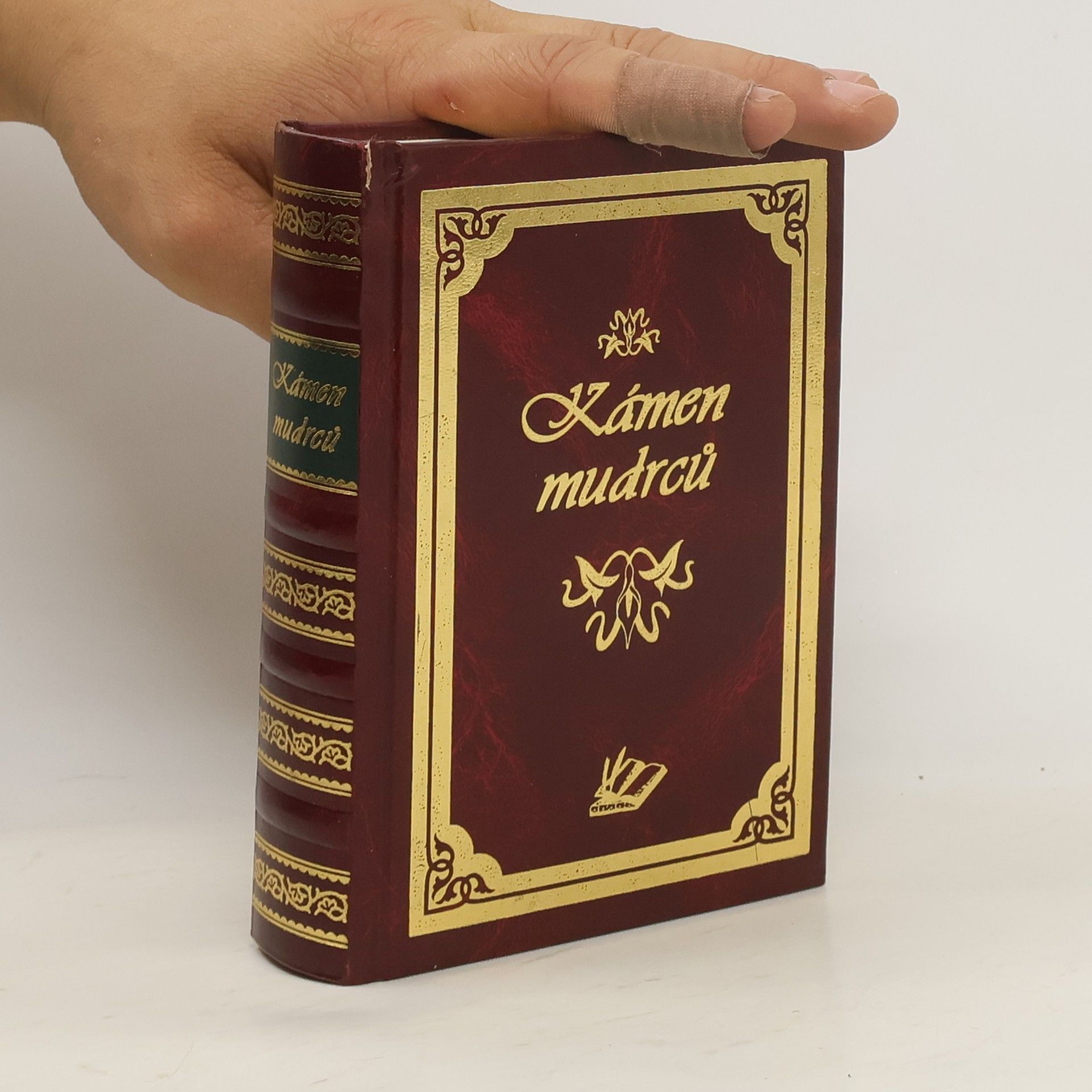 Anna Kulová Kámen mudrců