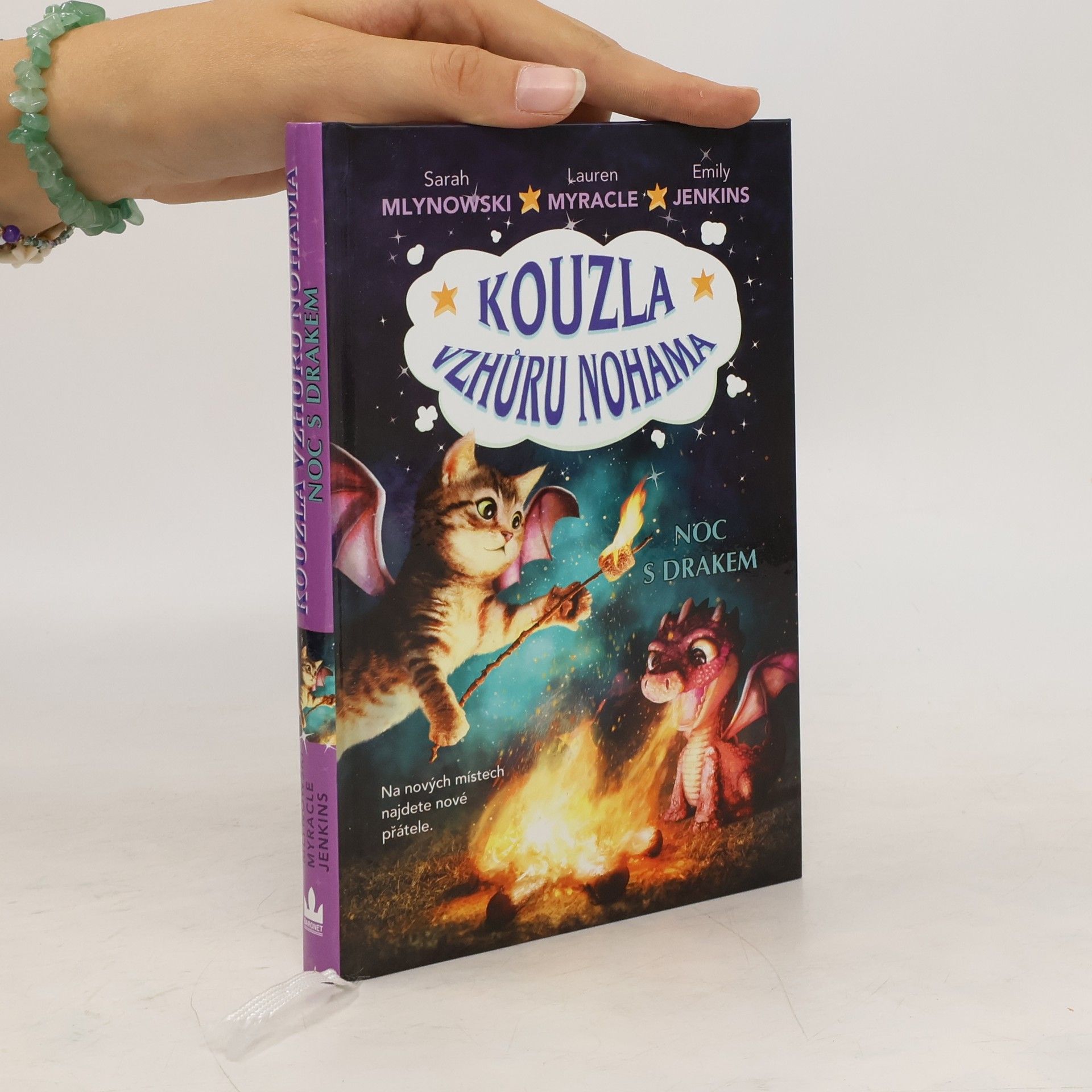 Lauren Myracle Noc s drakem