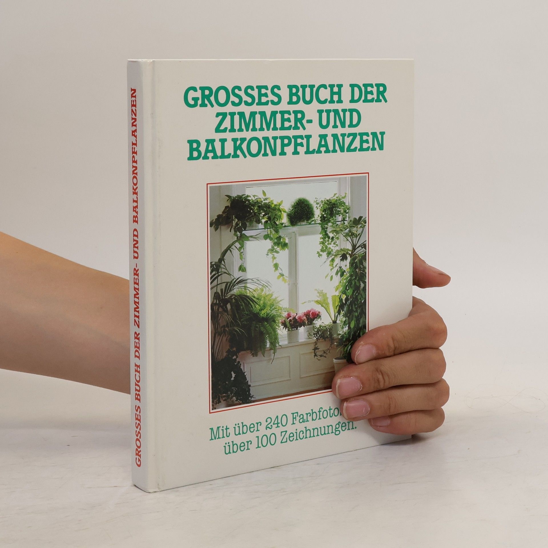 Jürgen Saupe Grosses Buch der Zimmer- und Balkonpflanzen