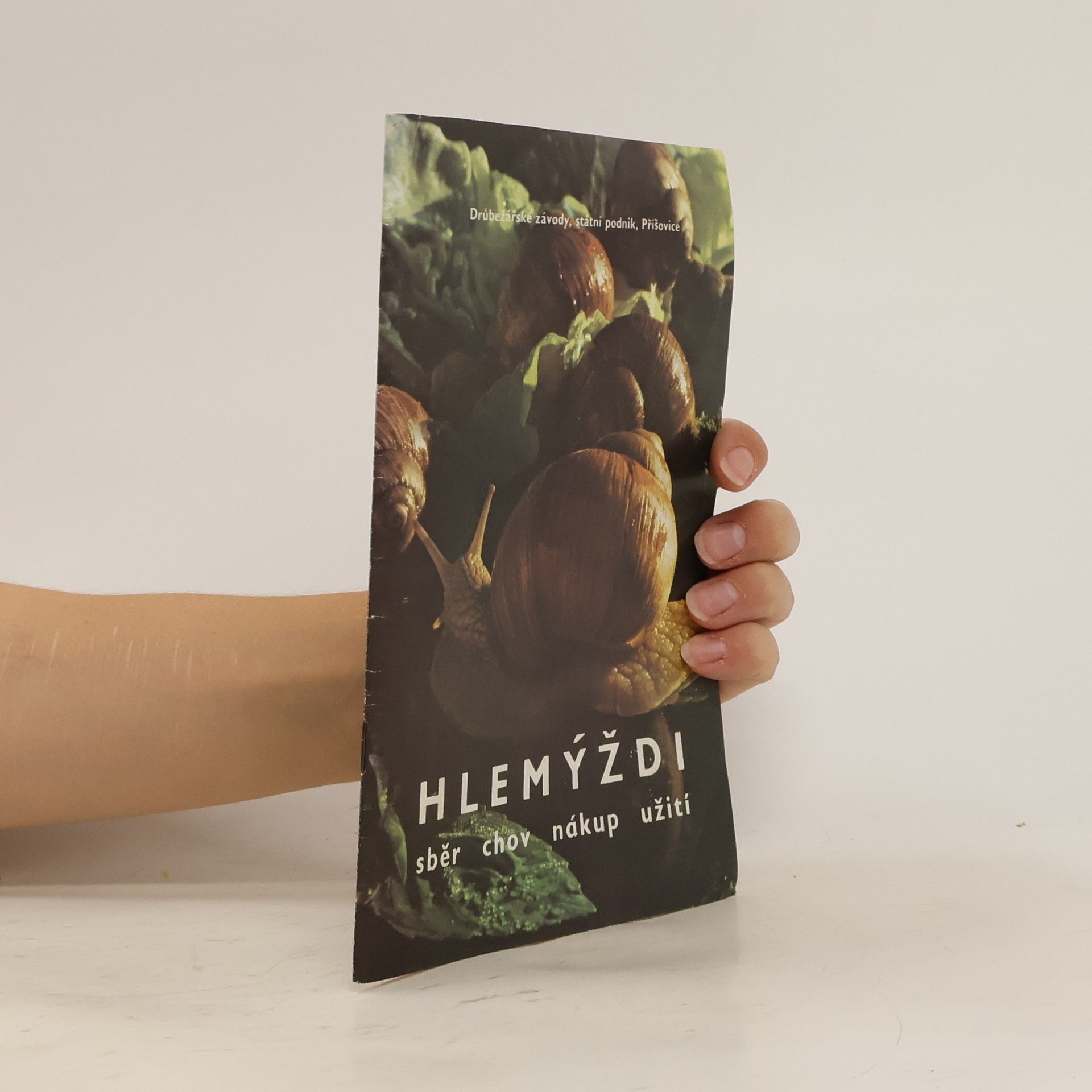 Collectif d'auteurs Hlemýždi