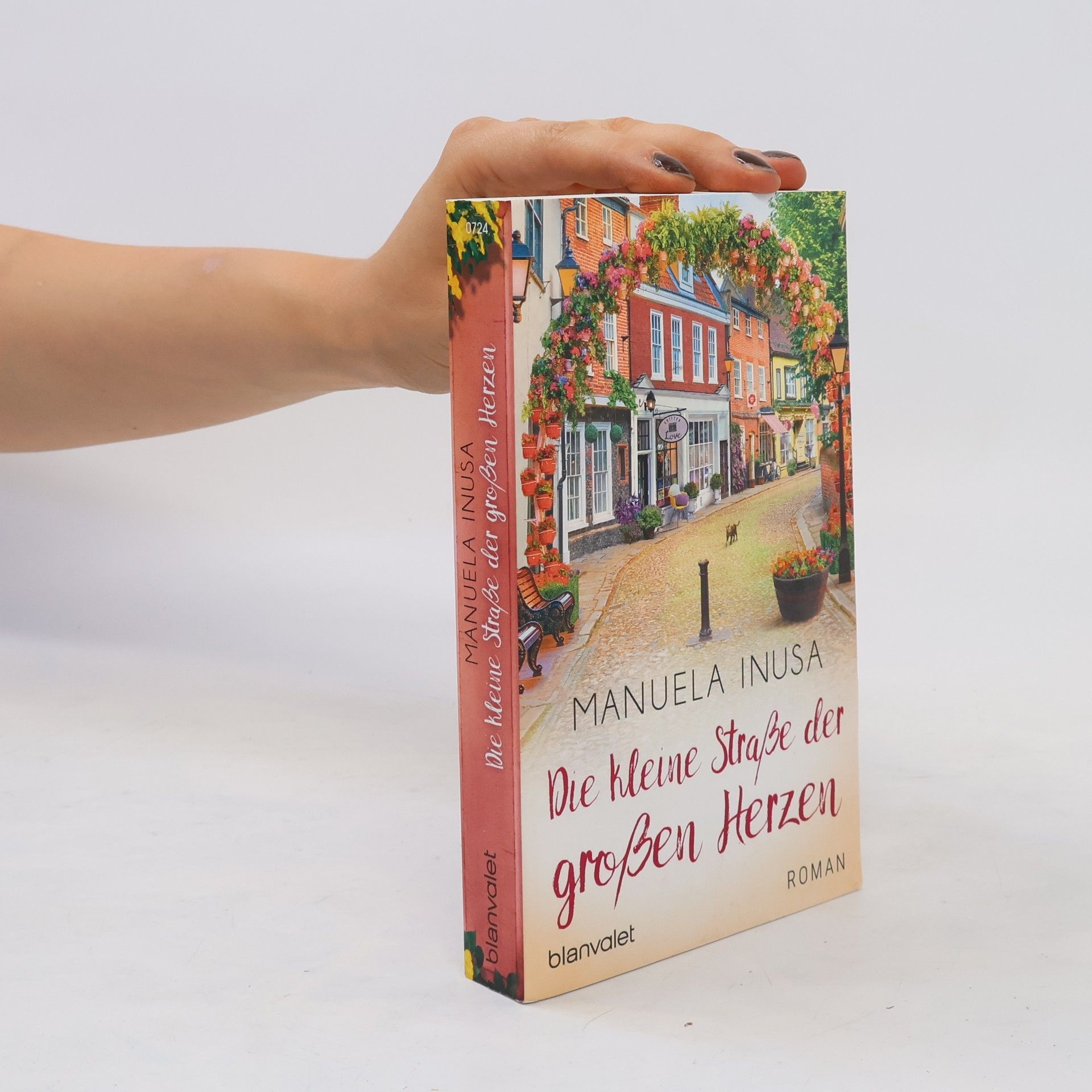 Manuela Inusa Die kleine Straße der großen Herzen