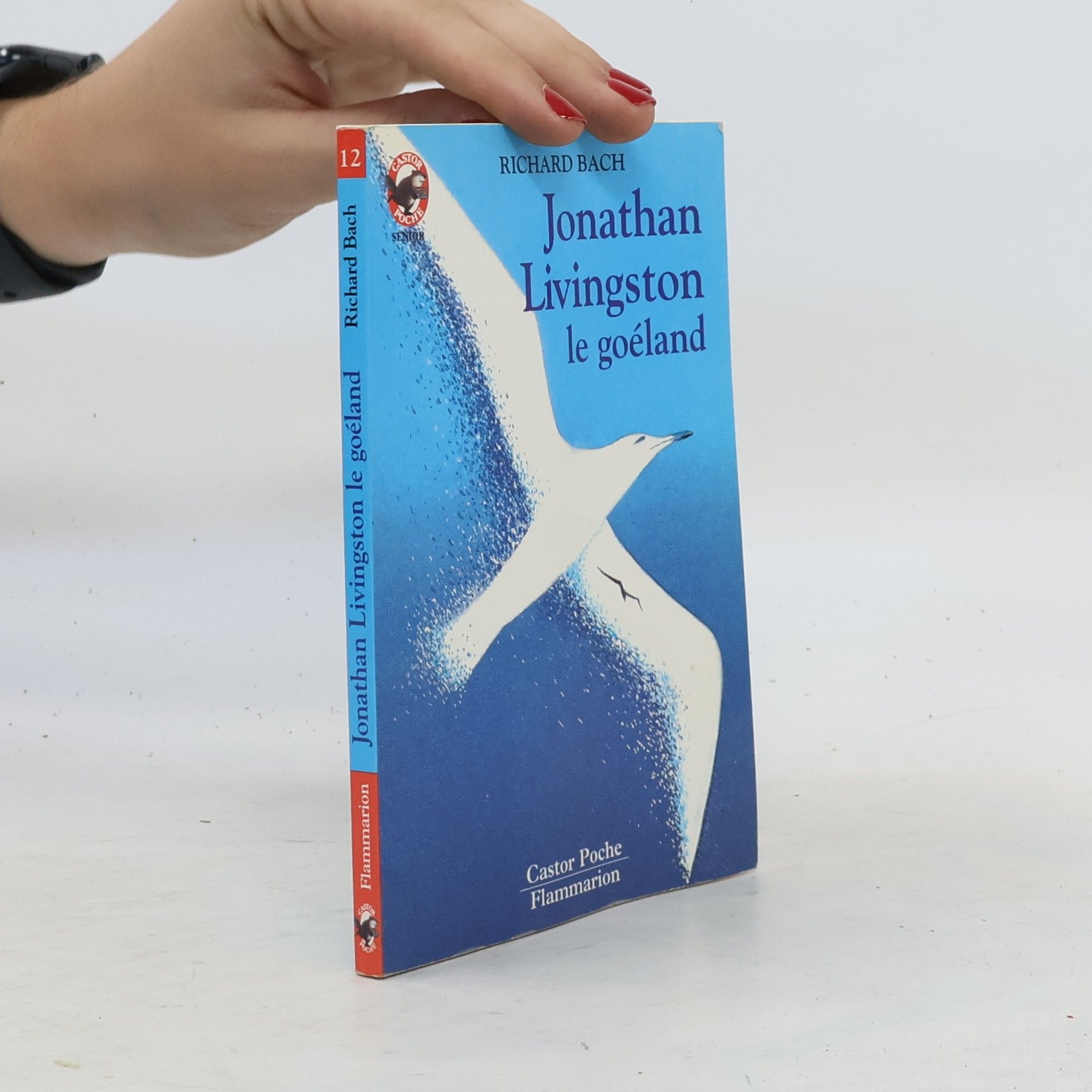 Richard Bach Jonathan Livingston le goéland