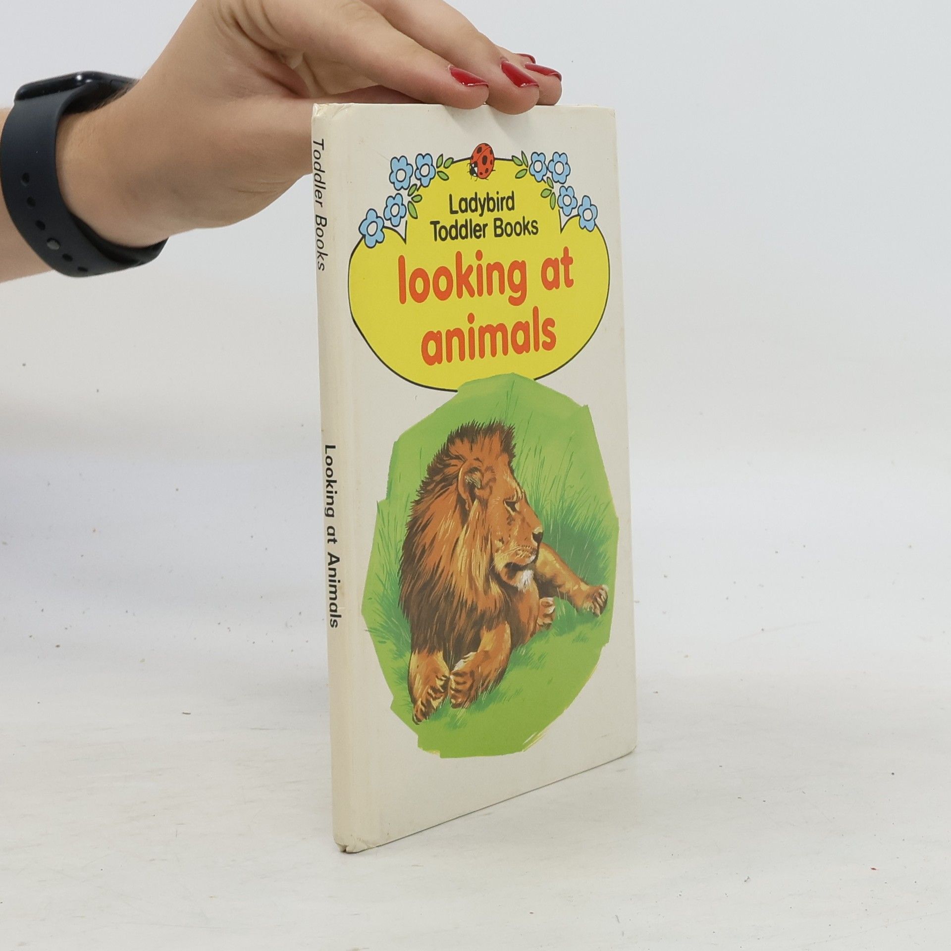 Kolektiv autorů Looking at Animals