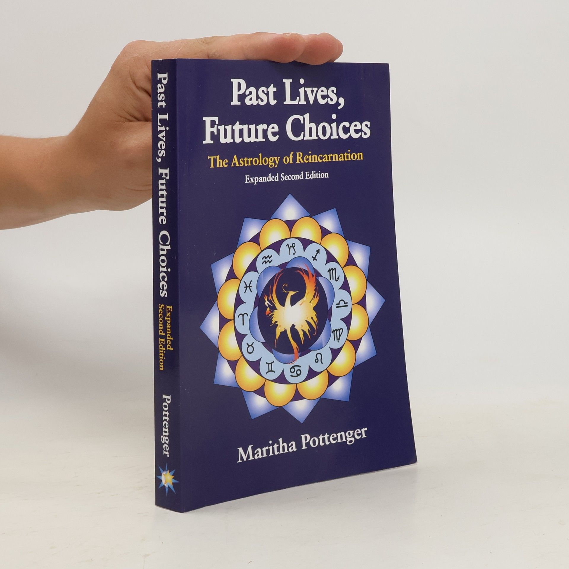 Maritha Pottenger Past Lives, Future Choices