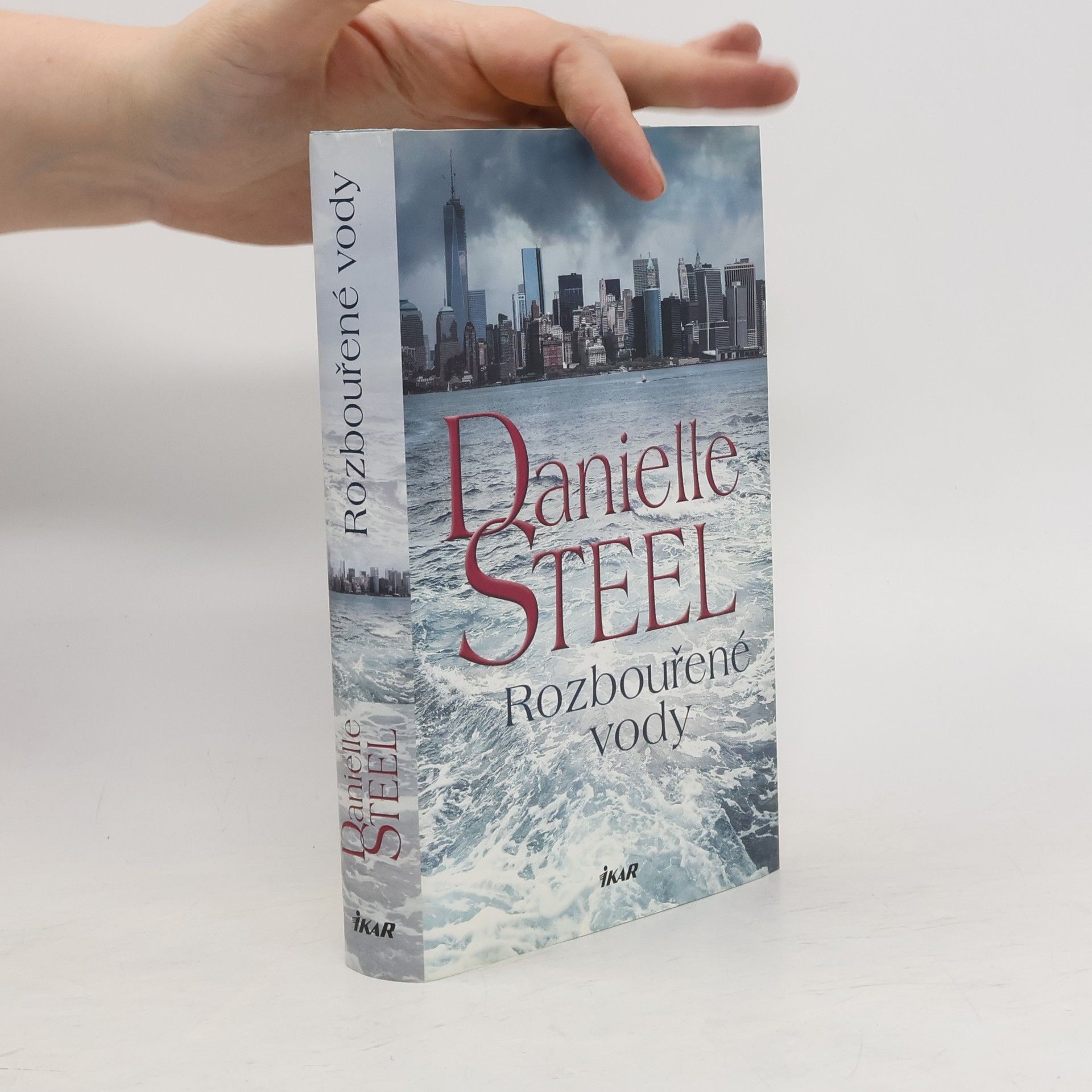 Danielle Steel Rozbouřené vody