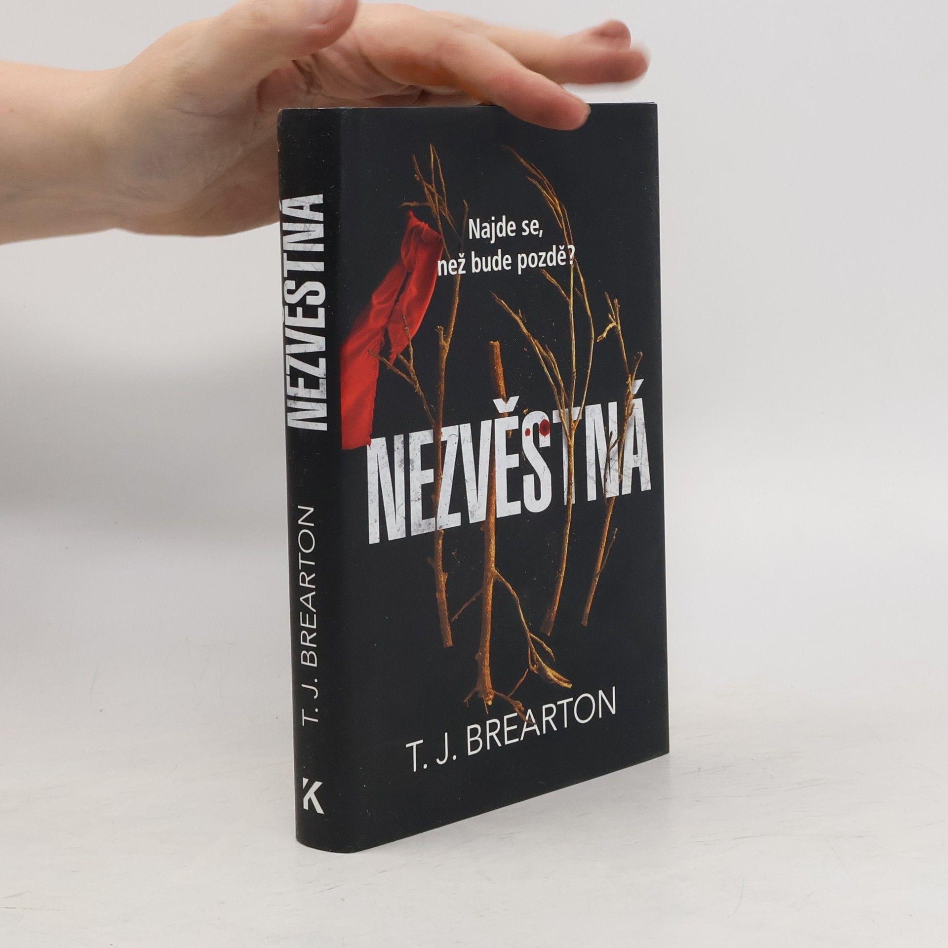 T. J. Brearton Nezvěstná