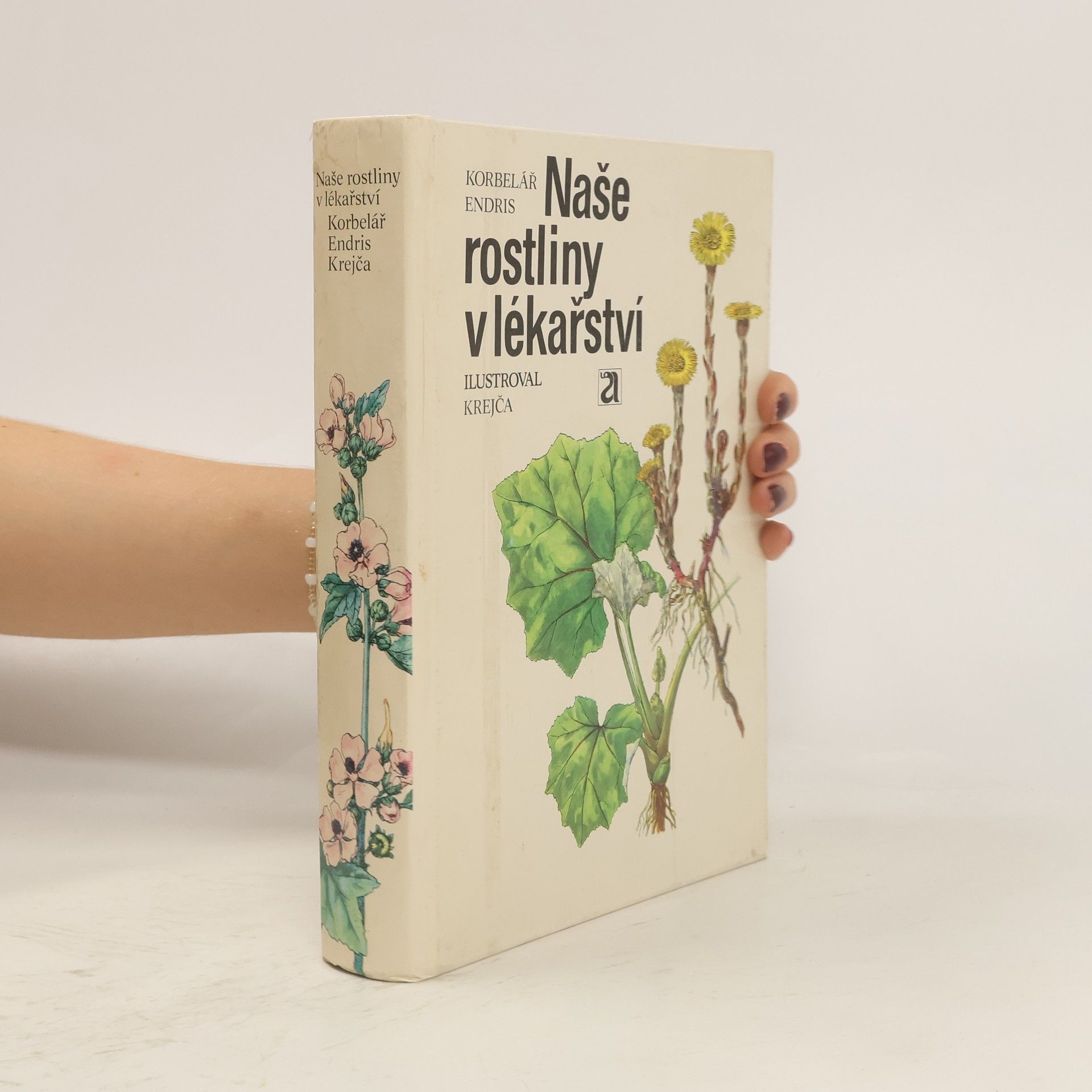 Naše rostliny v lékařství