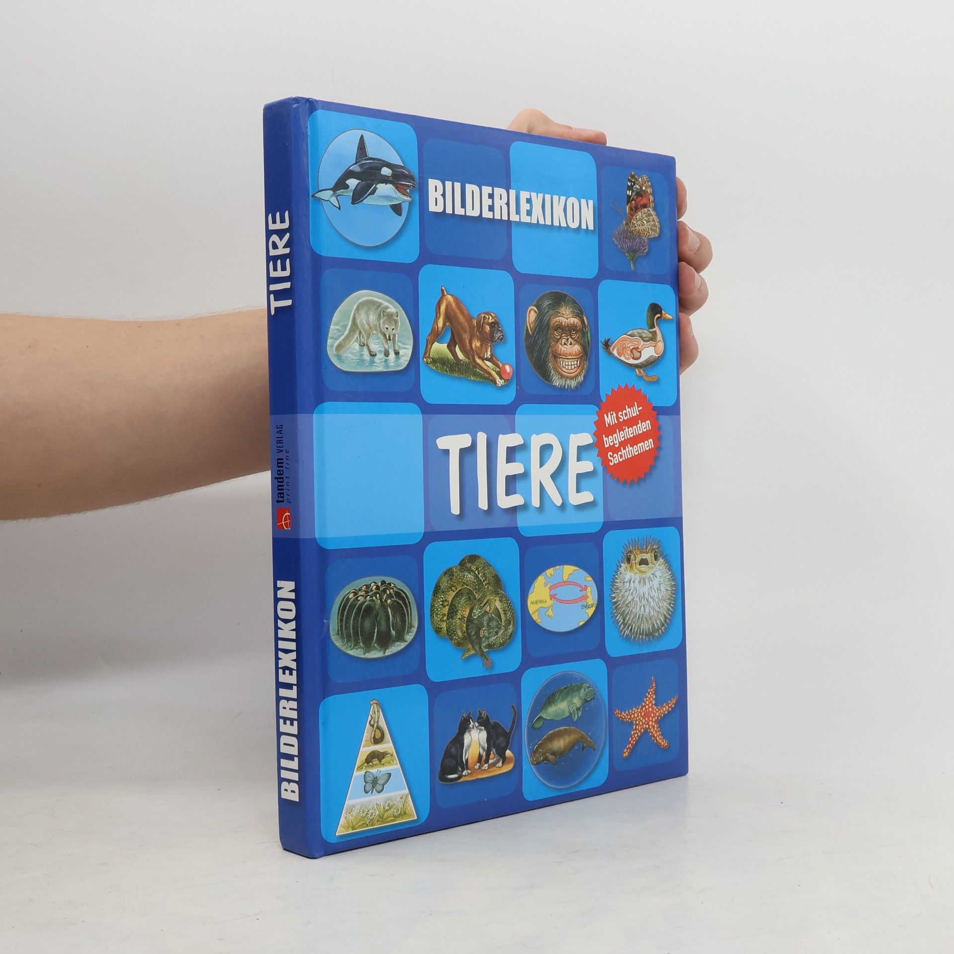 Autorenkollektiv Bilderlexikon Tiere