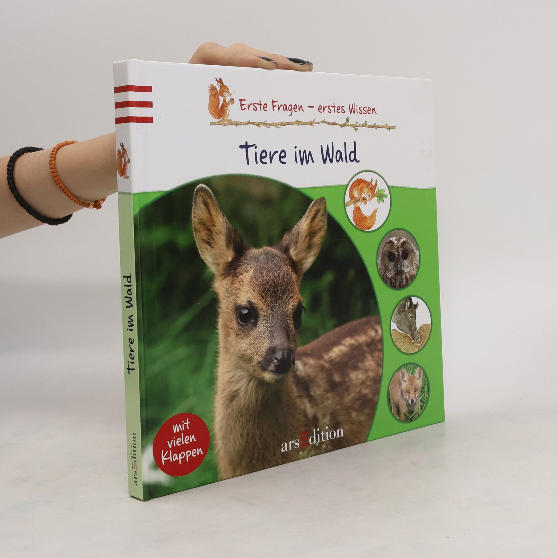 Bärbel Skarabela Tiere im Wald
