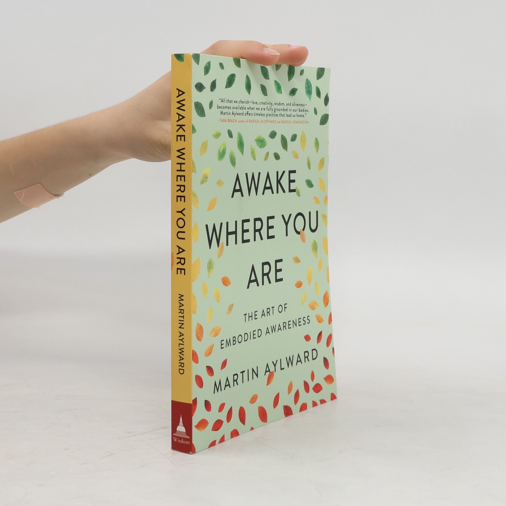 Martin Aylward Awake Where You Are