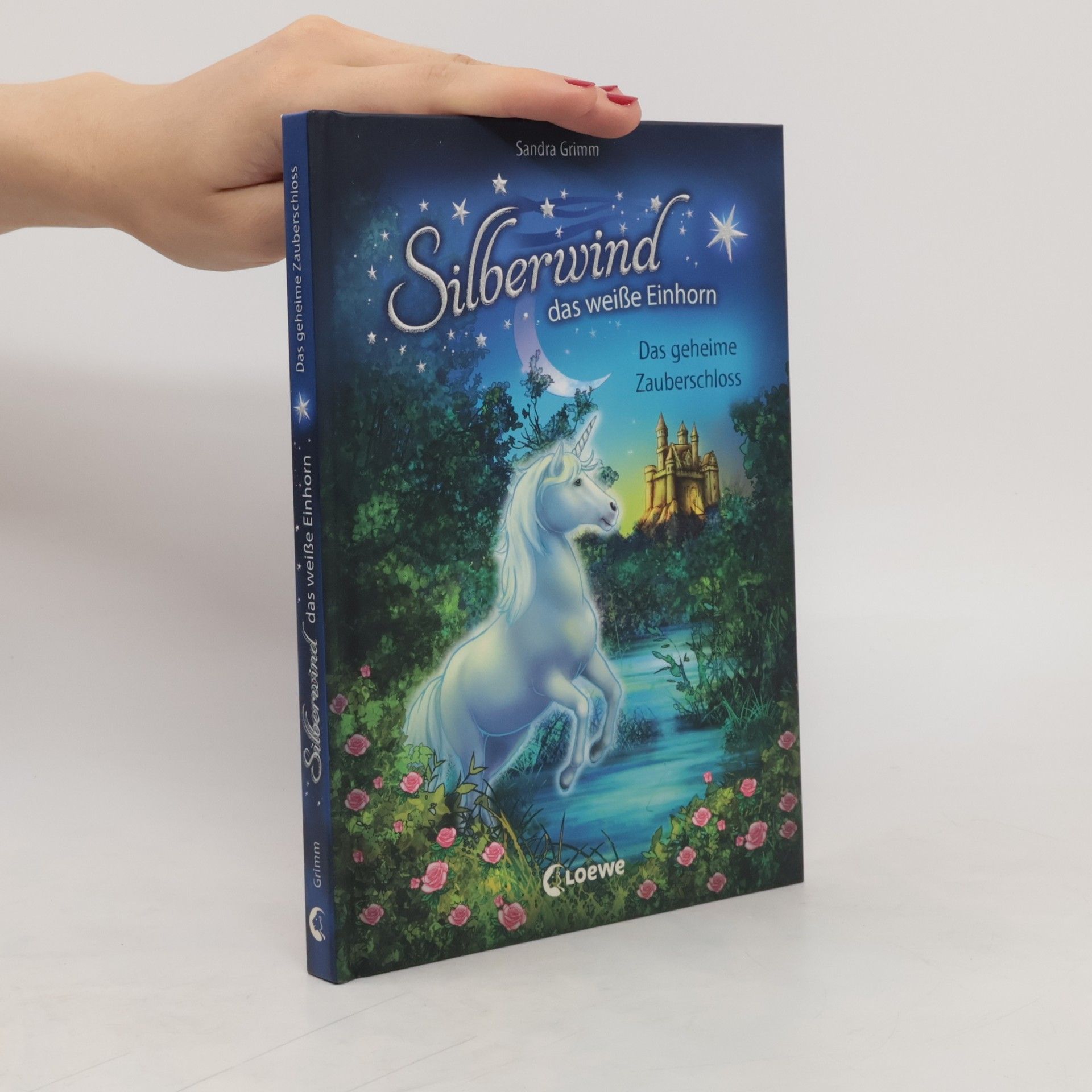 Sandra Grimm Das geheime Zauberschloss