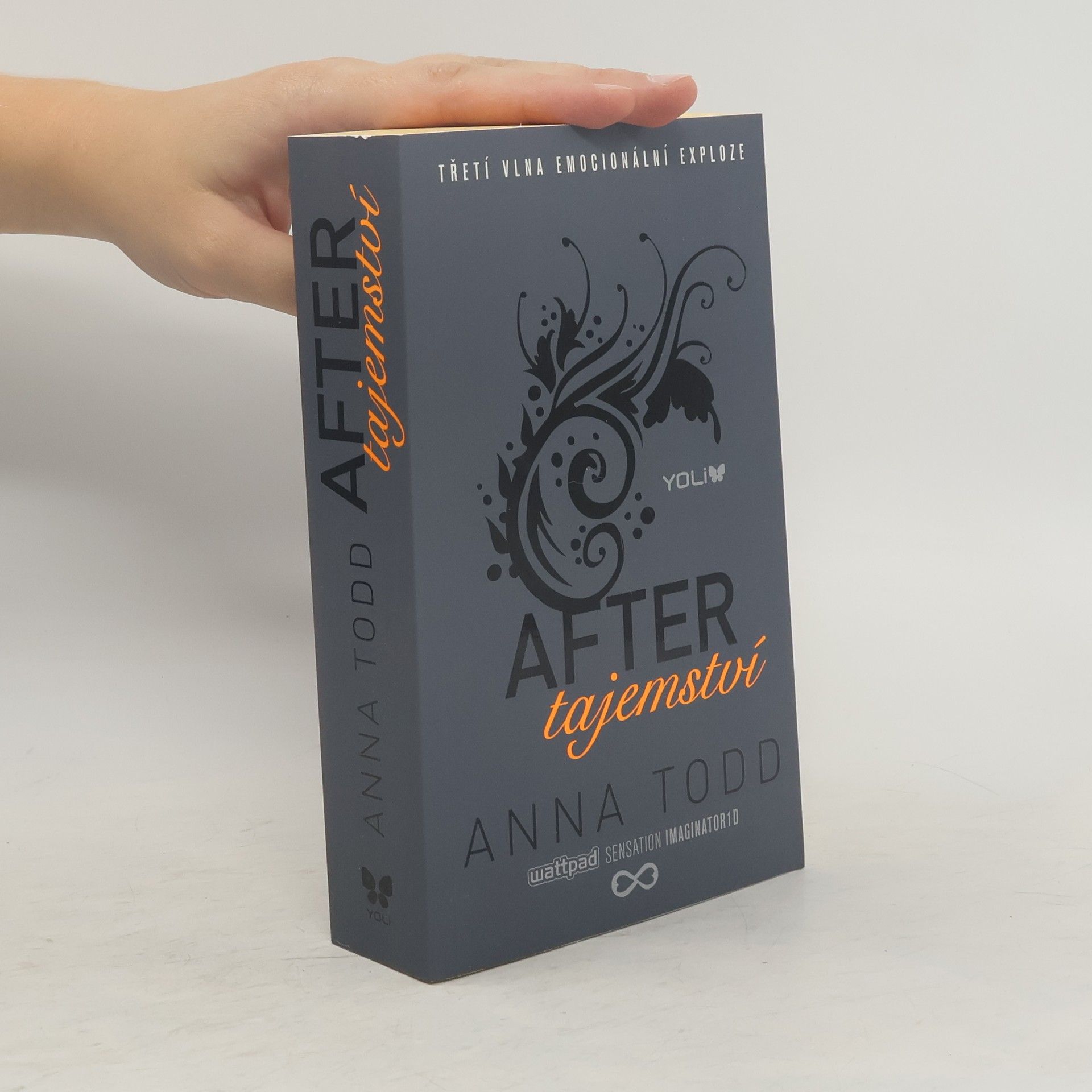 Anna Todd After. Tajemství