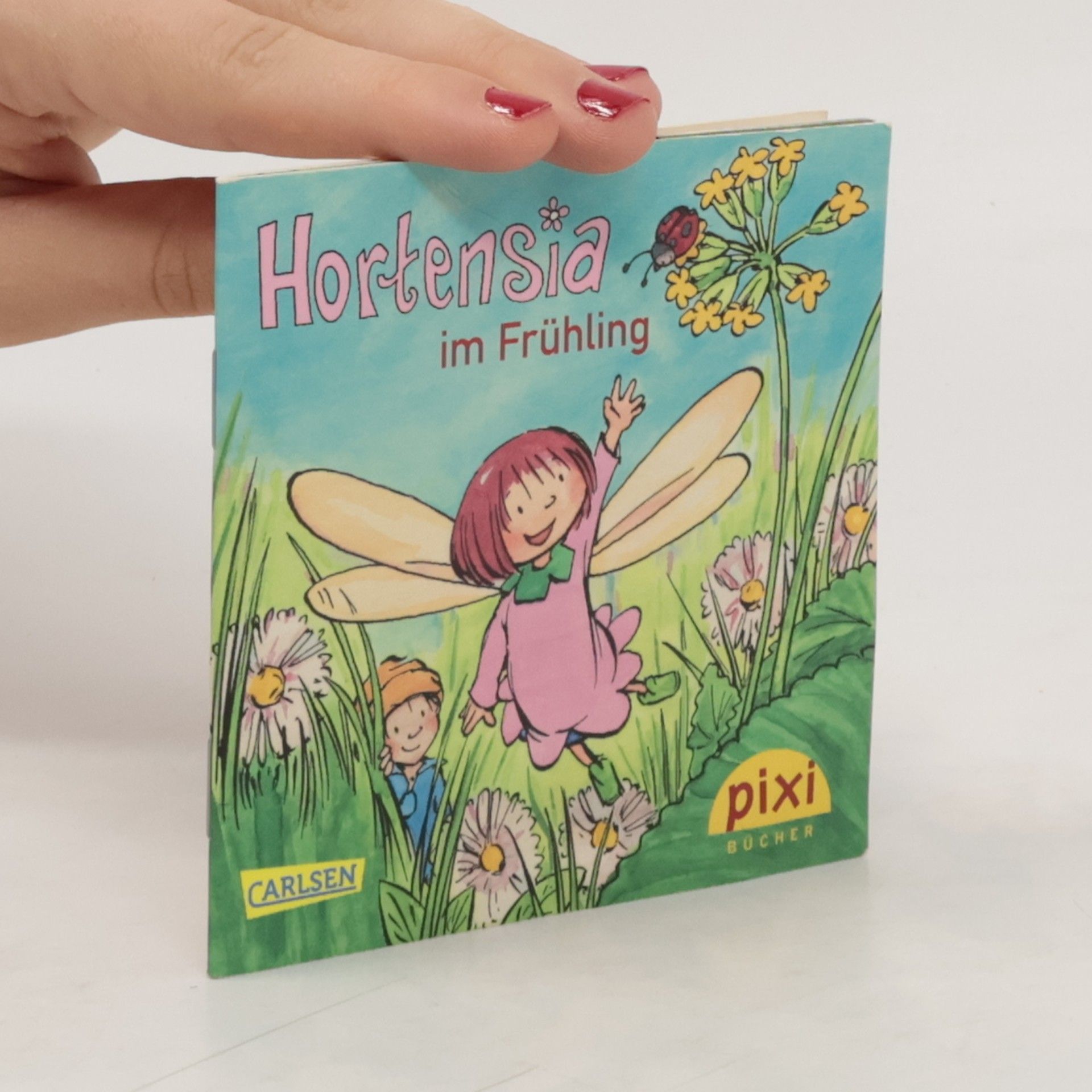 Frauke Wirbeleit Hortensia im Frühling