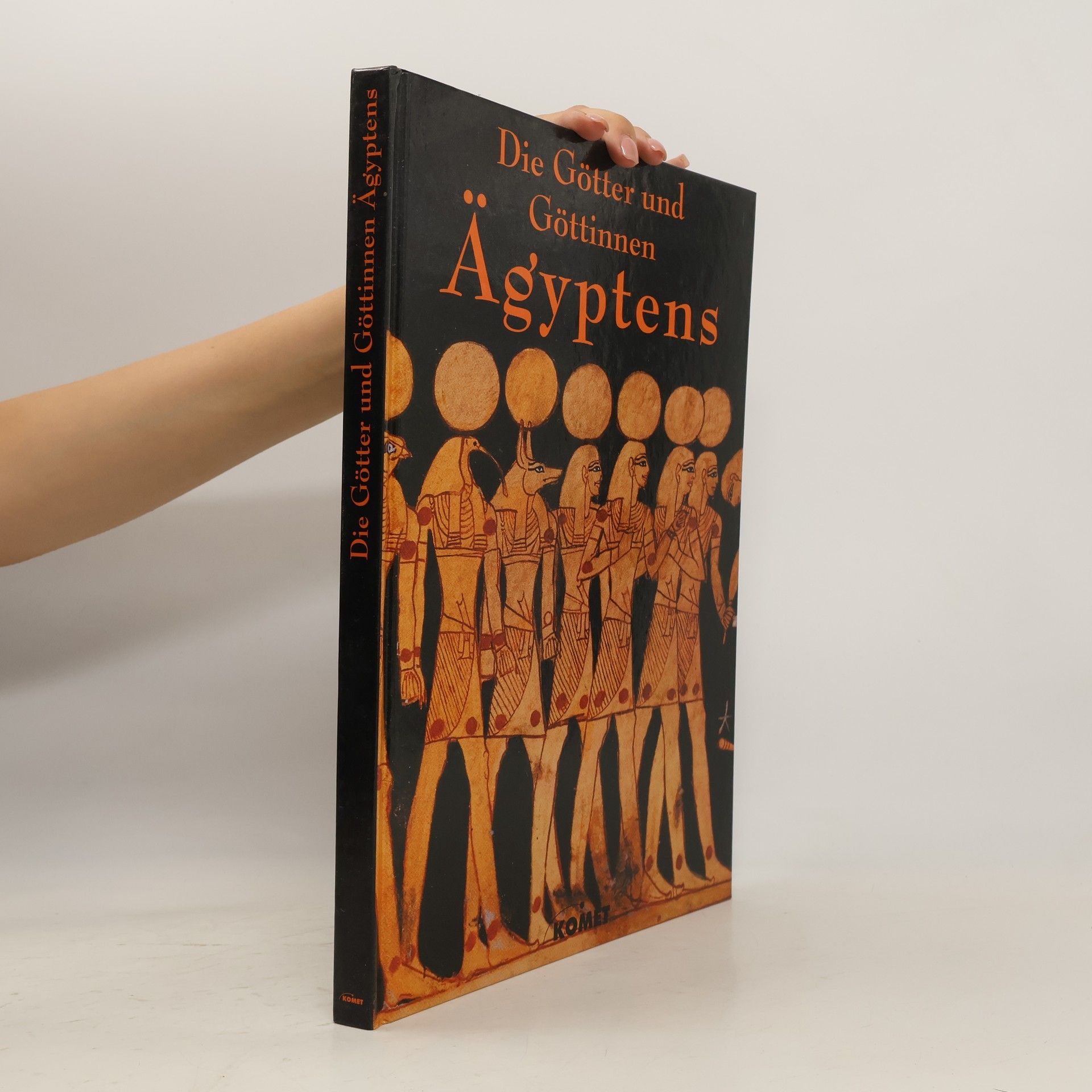 Aude Gros de Beler Die Götter und Göttinnen Ägyptens
