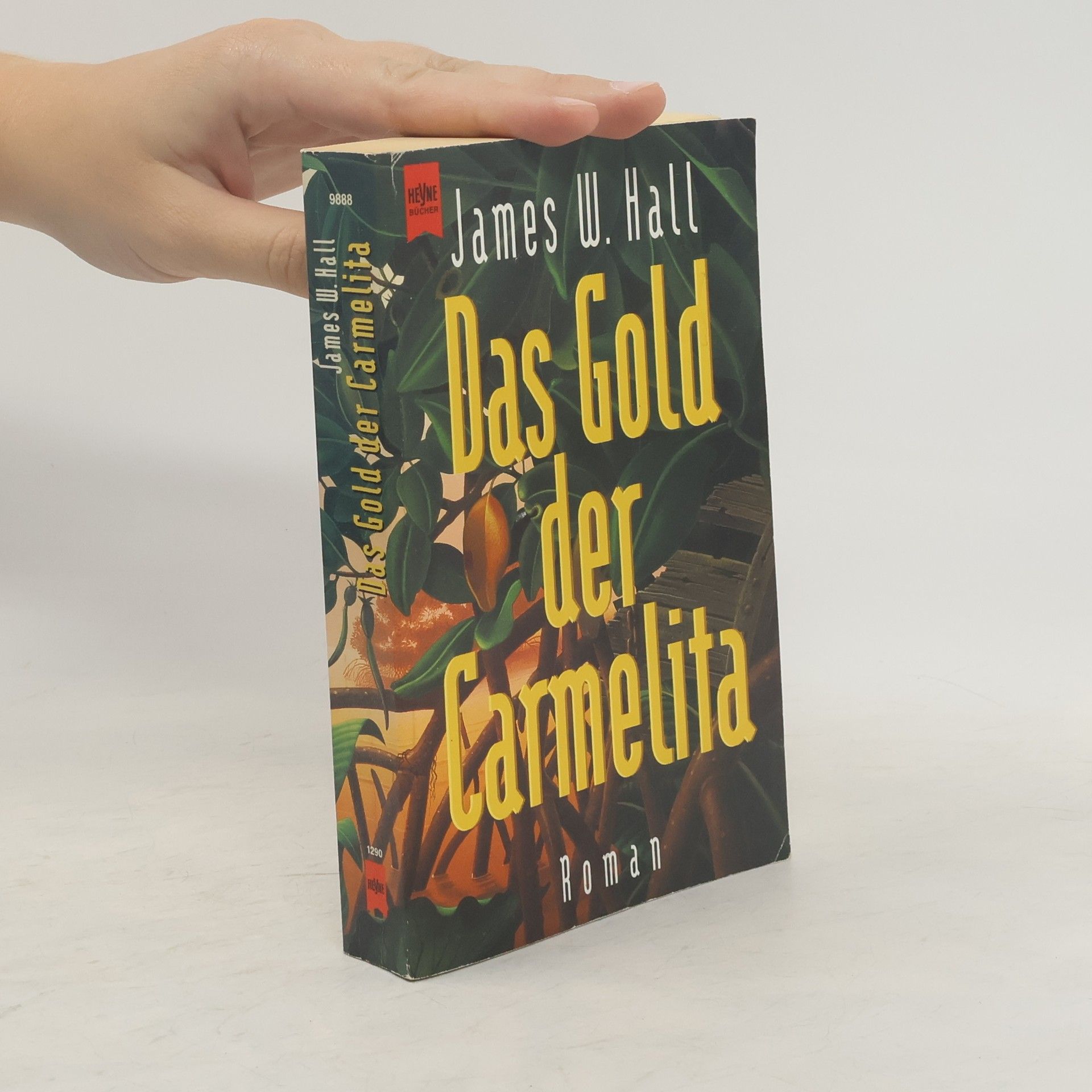 James Wilson Hall Das Gold der Carmelita. Roman