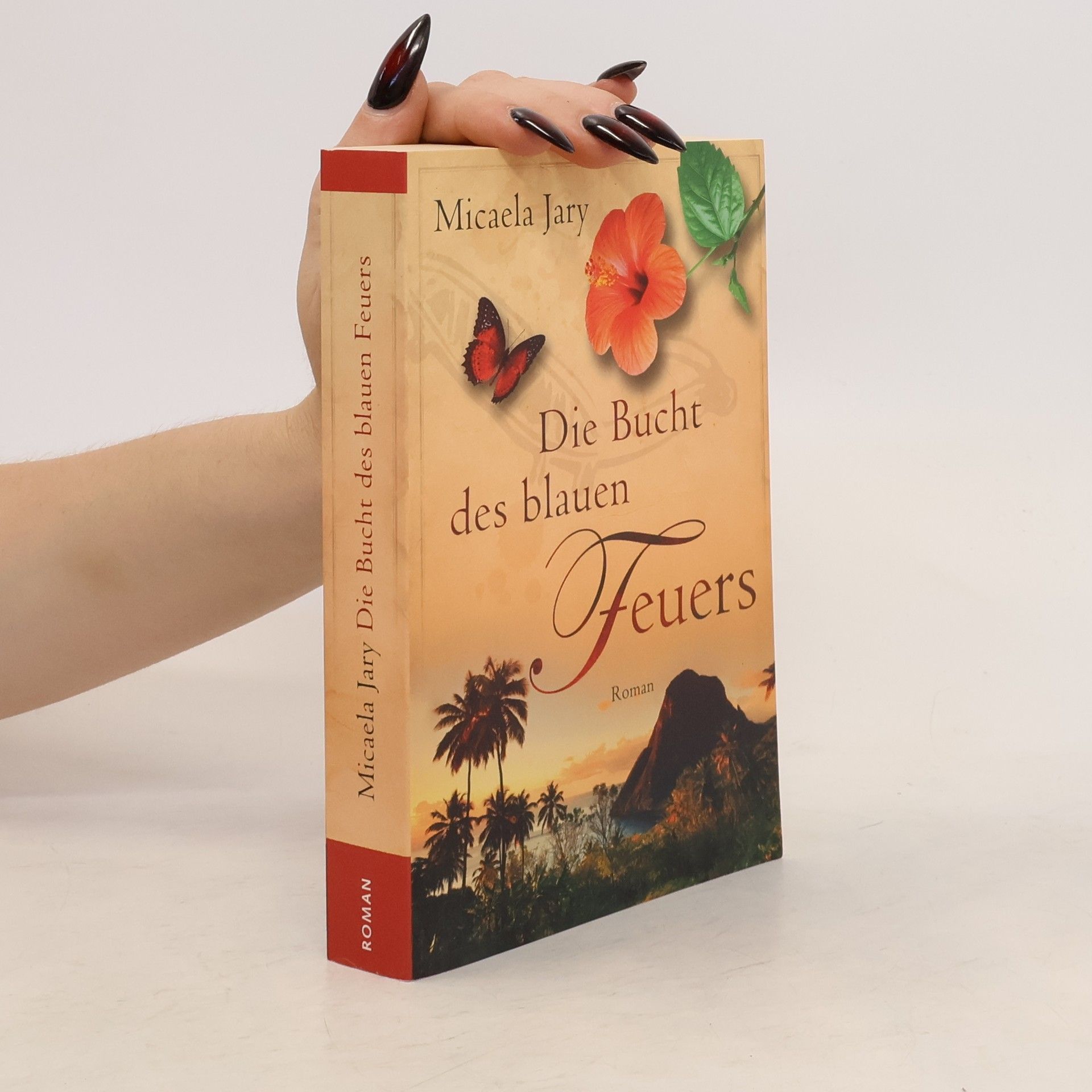 Micaela Jary Die Bucht des blauen Feuers