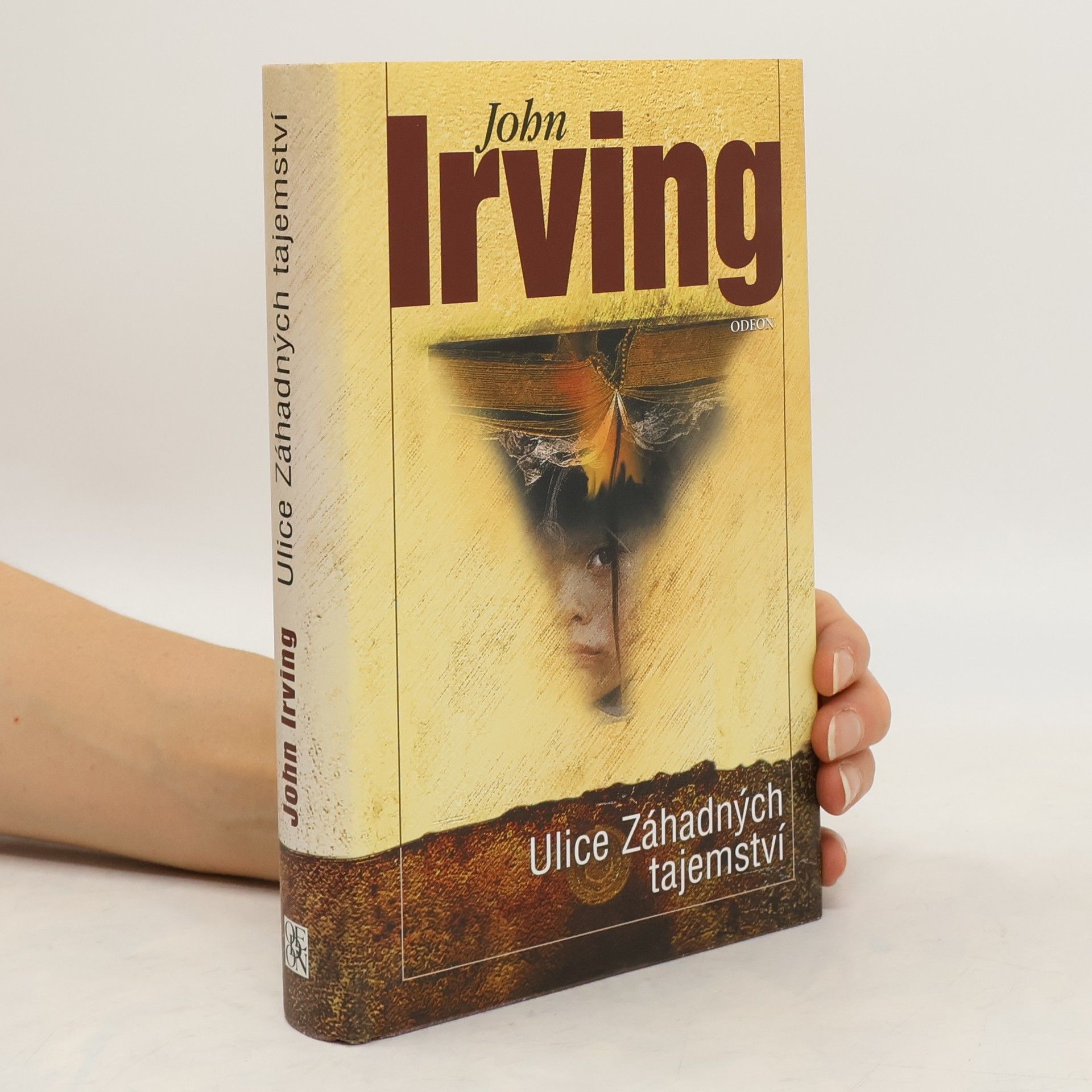 John Irving Ulice Záhadných tajemství