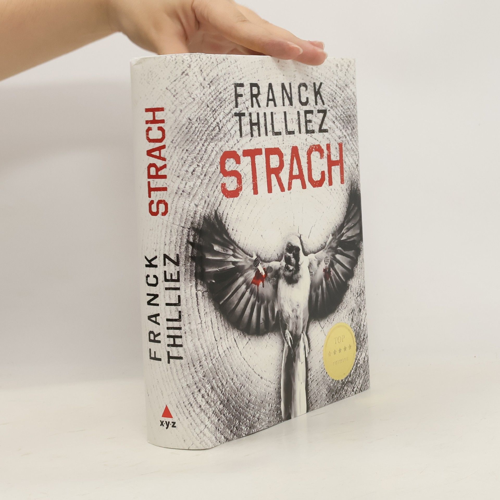 Franck Thilliez Strach