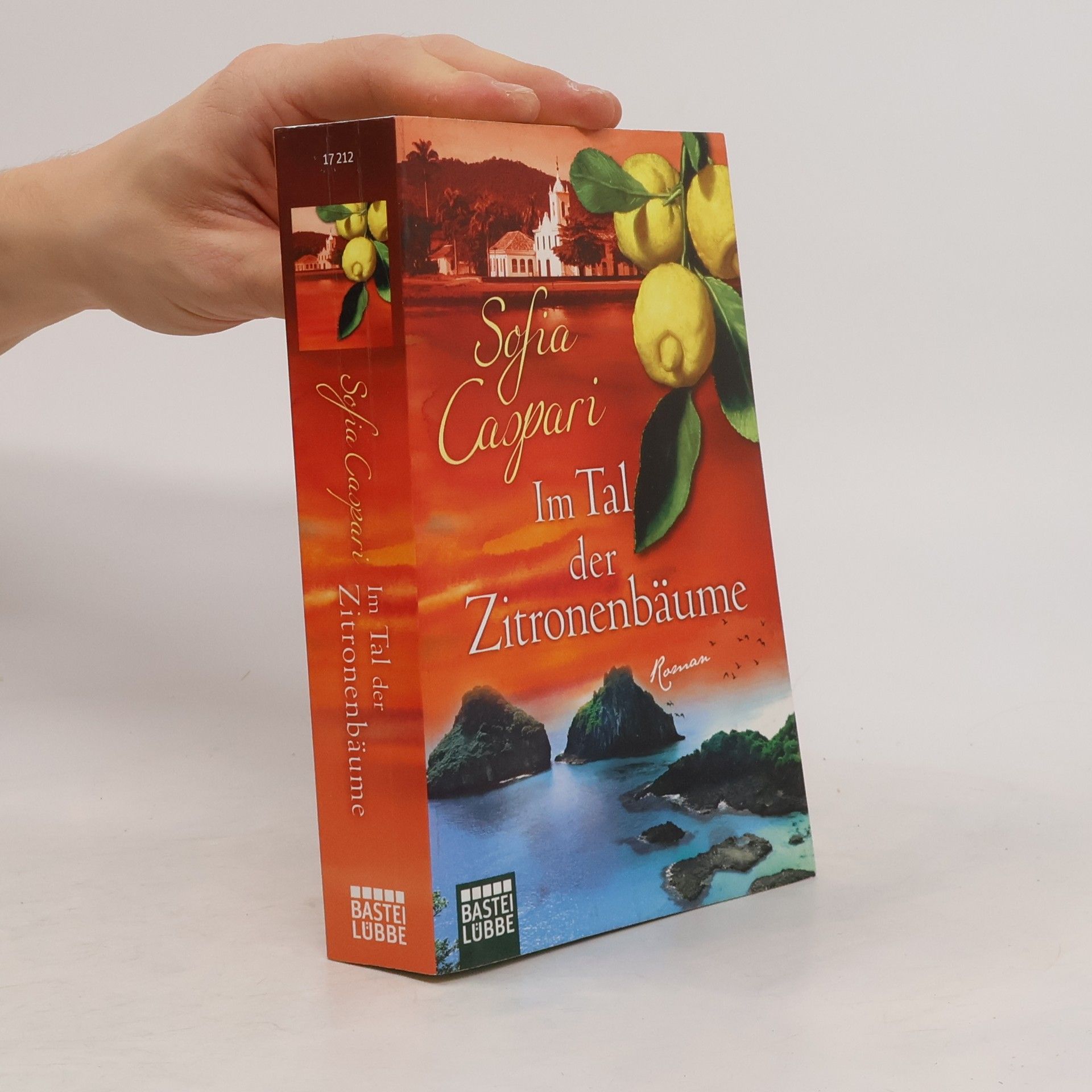 Im Tal der Zitronenbäume