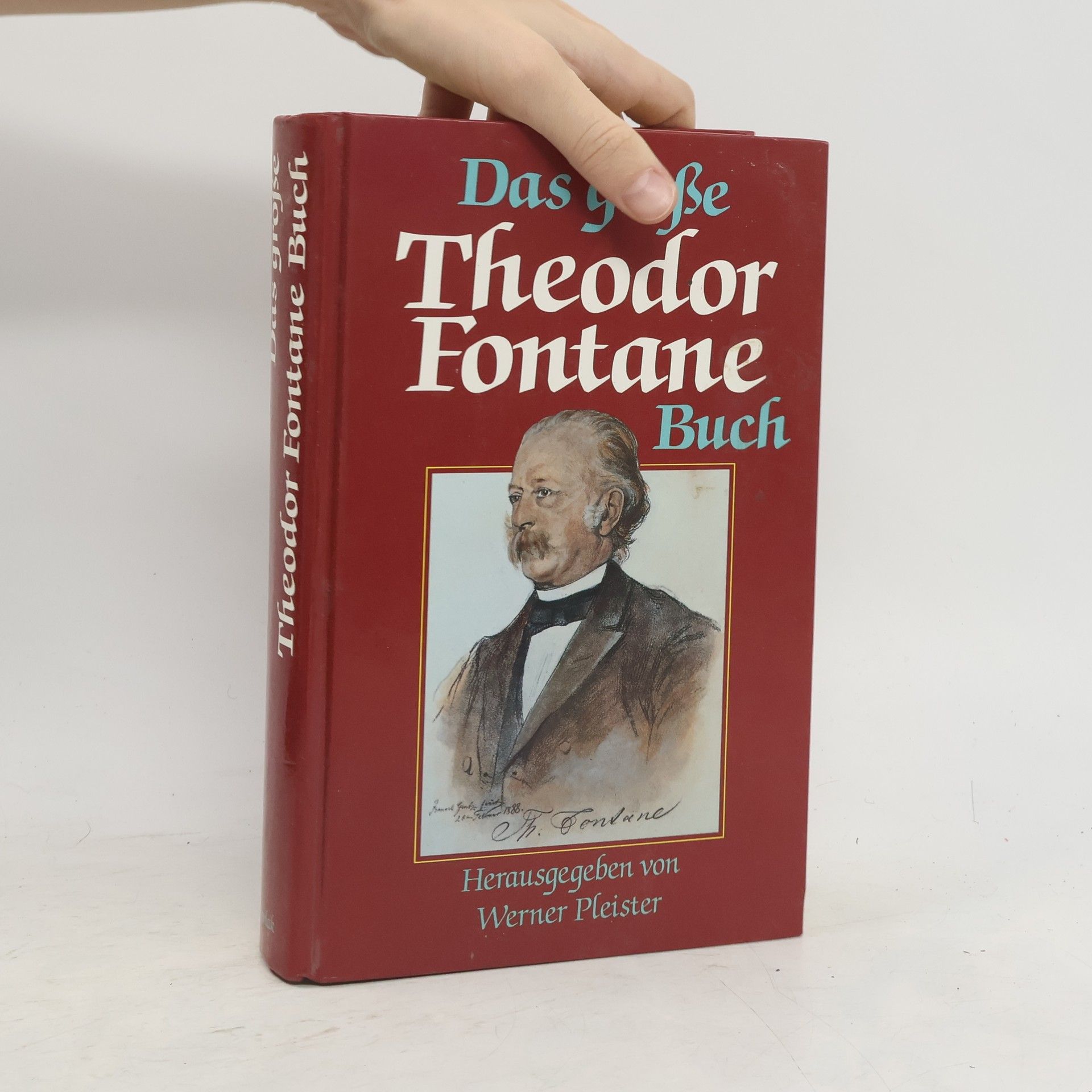 Theodor Fontane Das grosse Theodor-Fontane-Buch