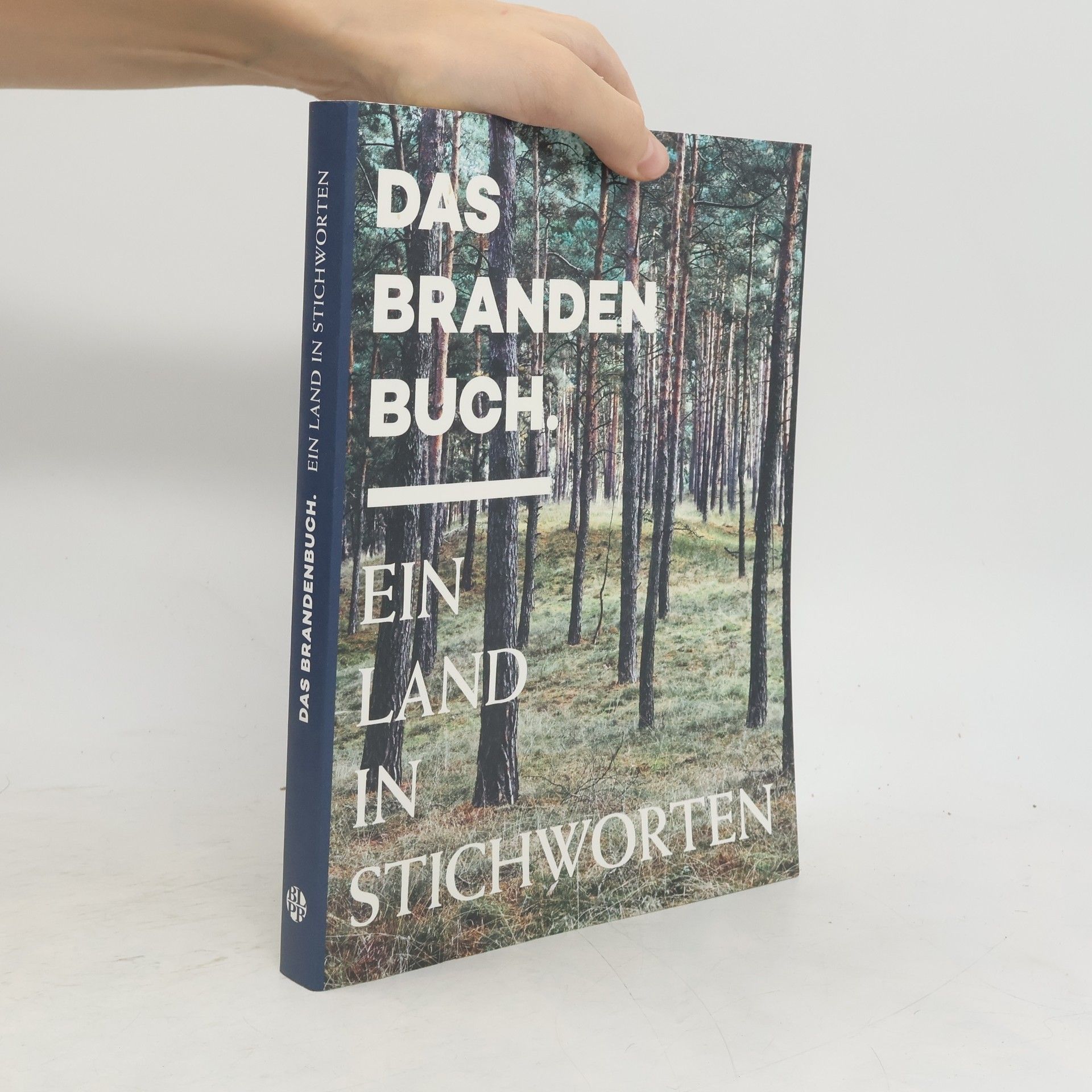 Stephan Felsberg Das Brandenbuch