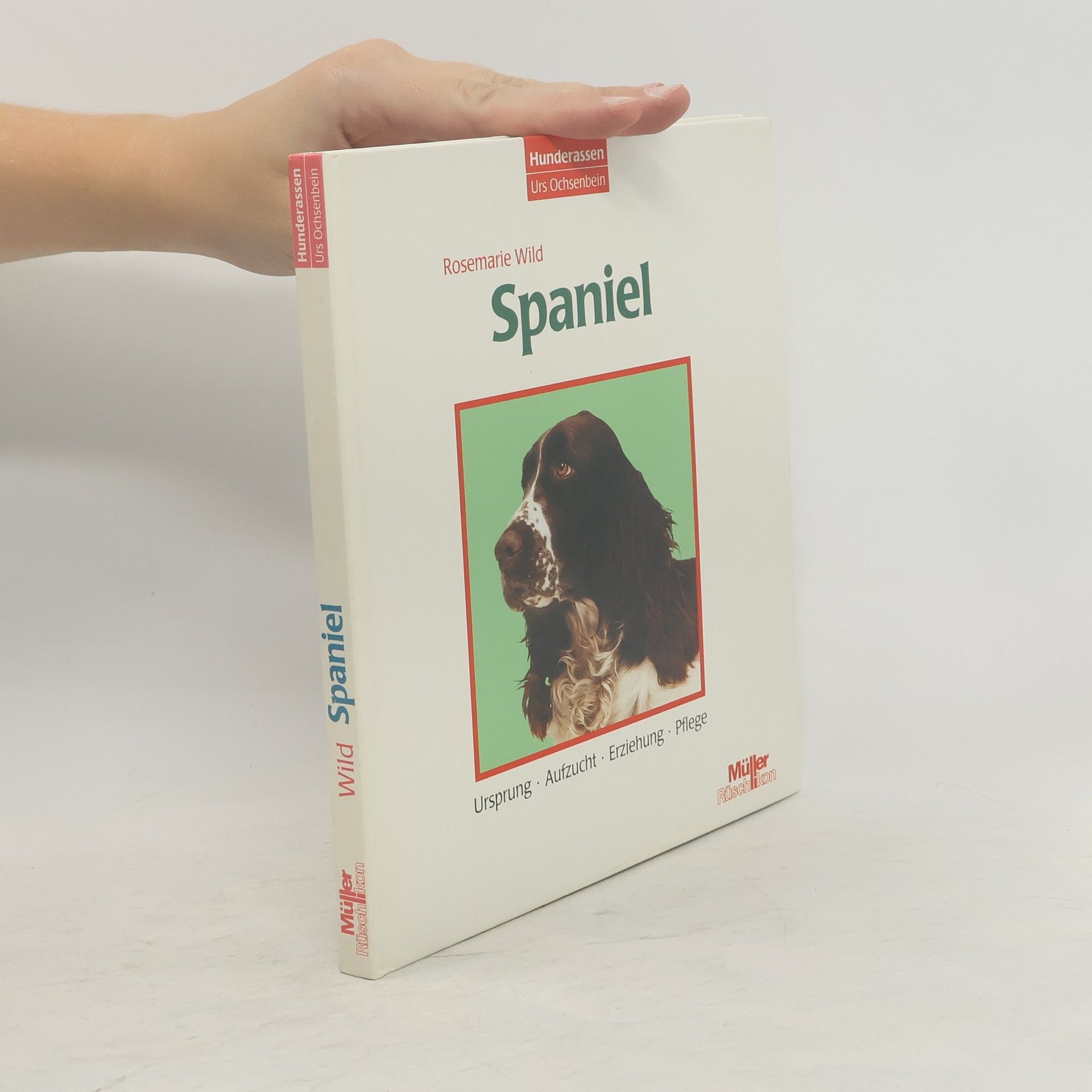 Rosemarie Wild Spaniel