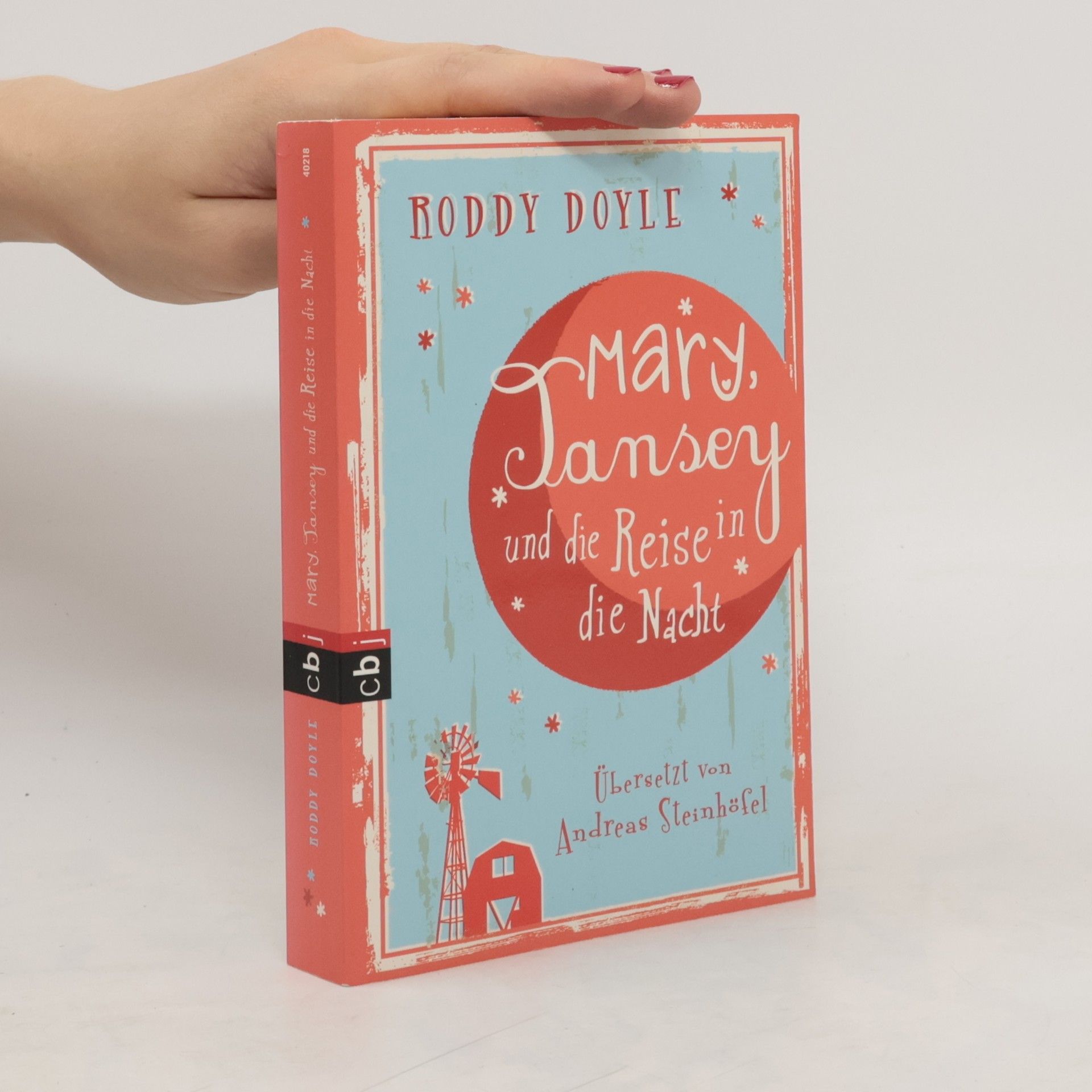 Roddy Doyle Mary, Tansey und die Reise durch die Nacht