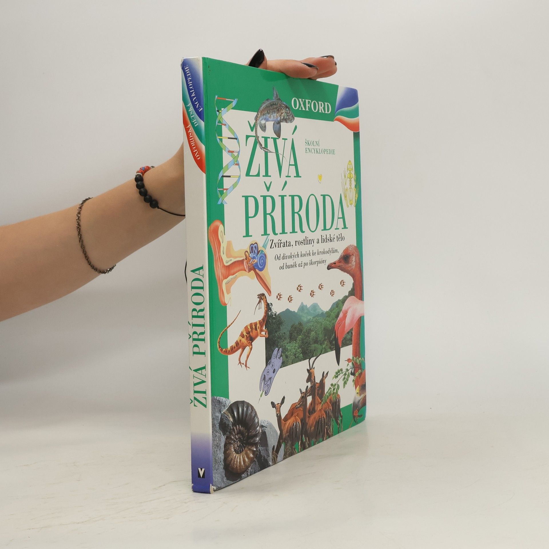 Autorenkollektiv Živá příroda : zvířata, rostliny a lidské tělo