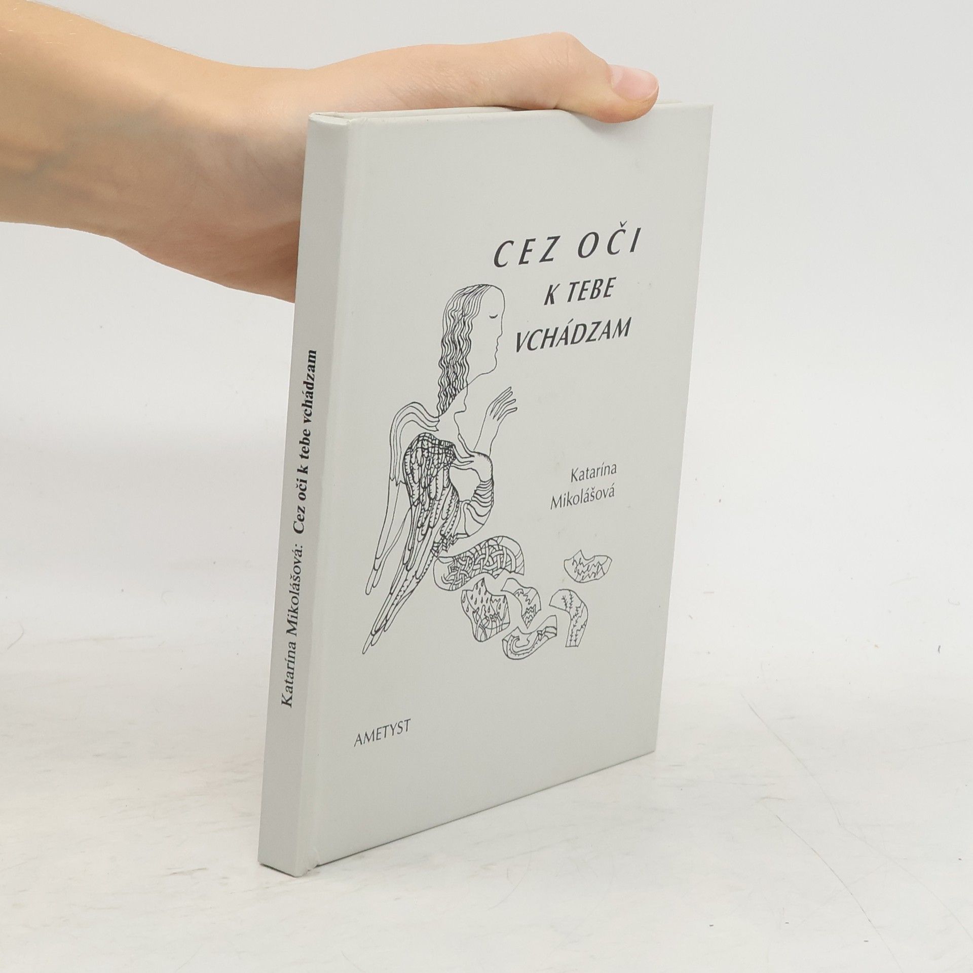 Katarína Mikolášová Cez oči k tebe vchádzam