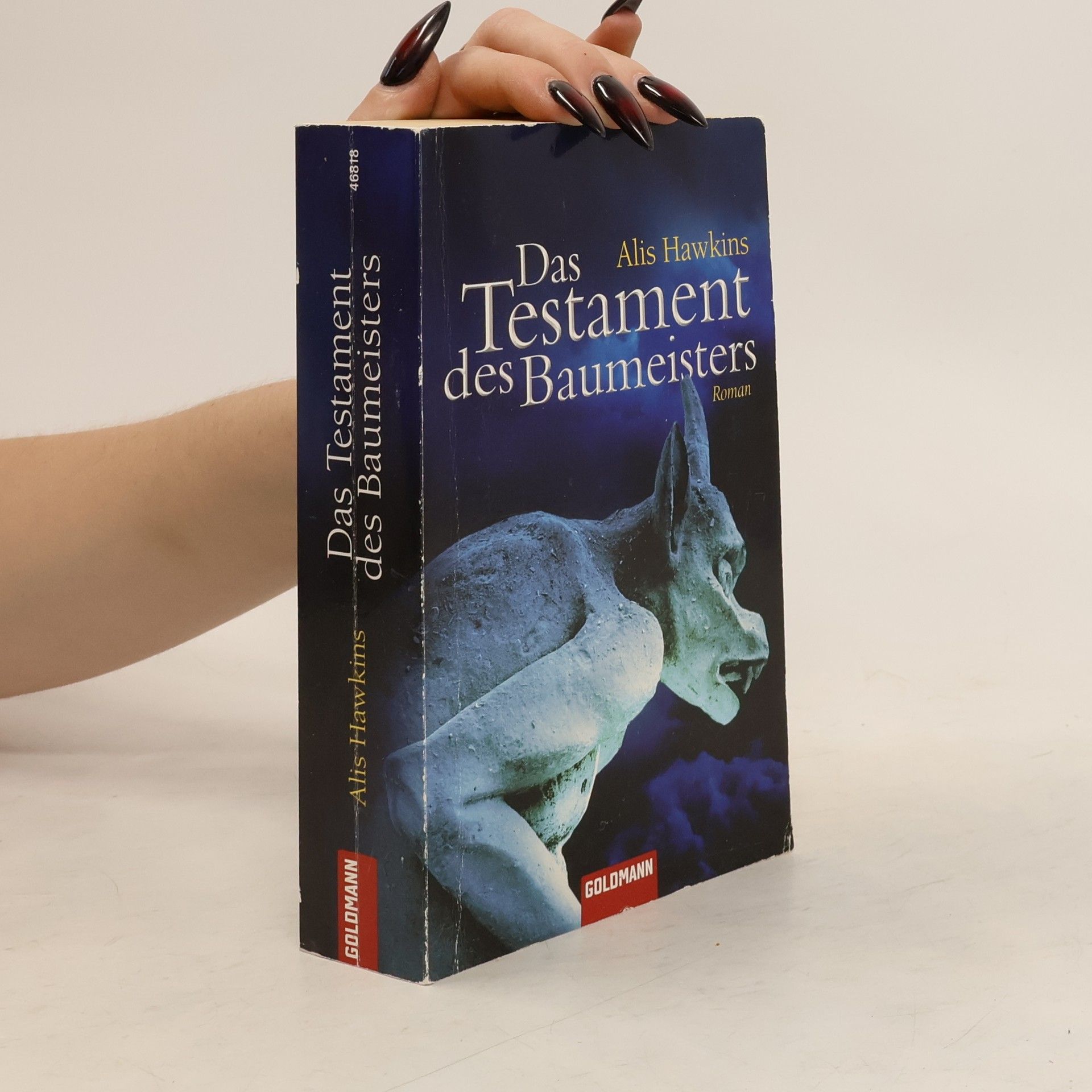 Alis Hawkins Das Testament des Baumeisters