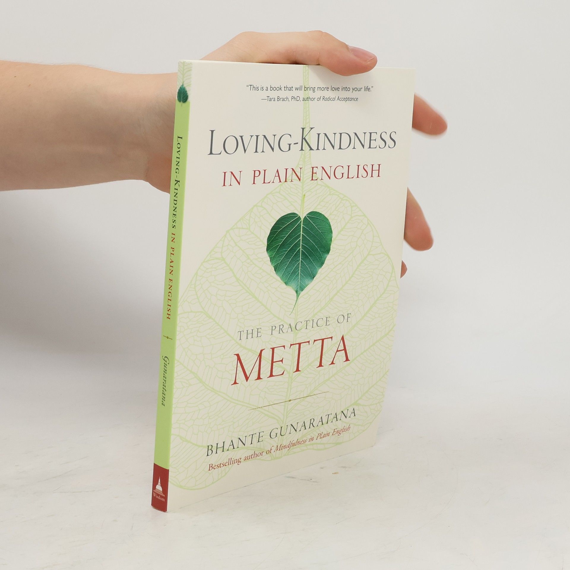 Bhante Gunaratana Loving-Kindness in Plain English