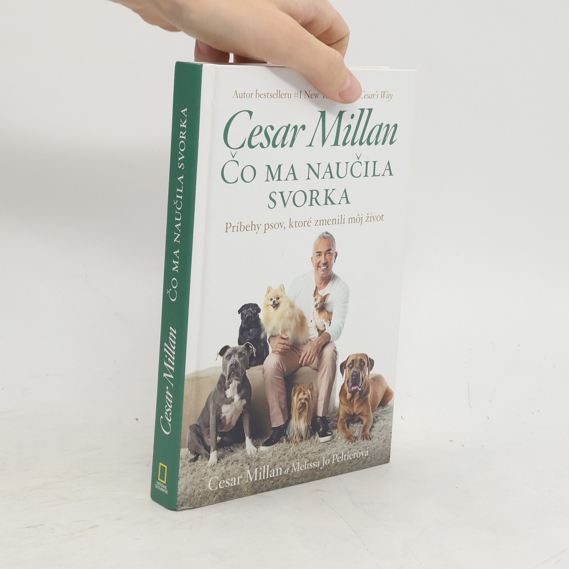 Cesar Millan Čo ma naučila svorka