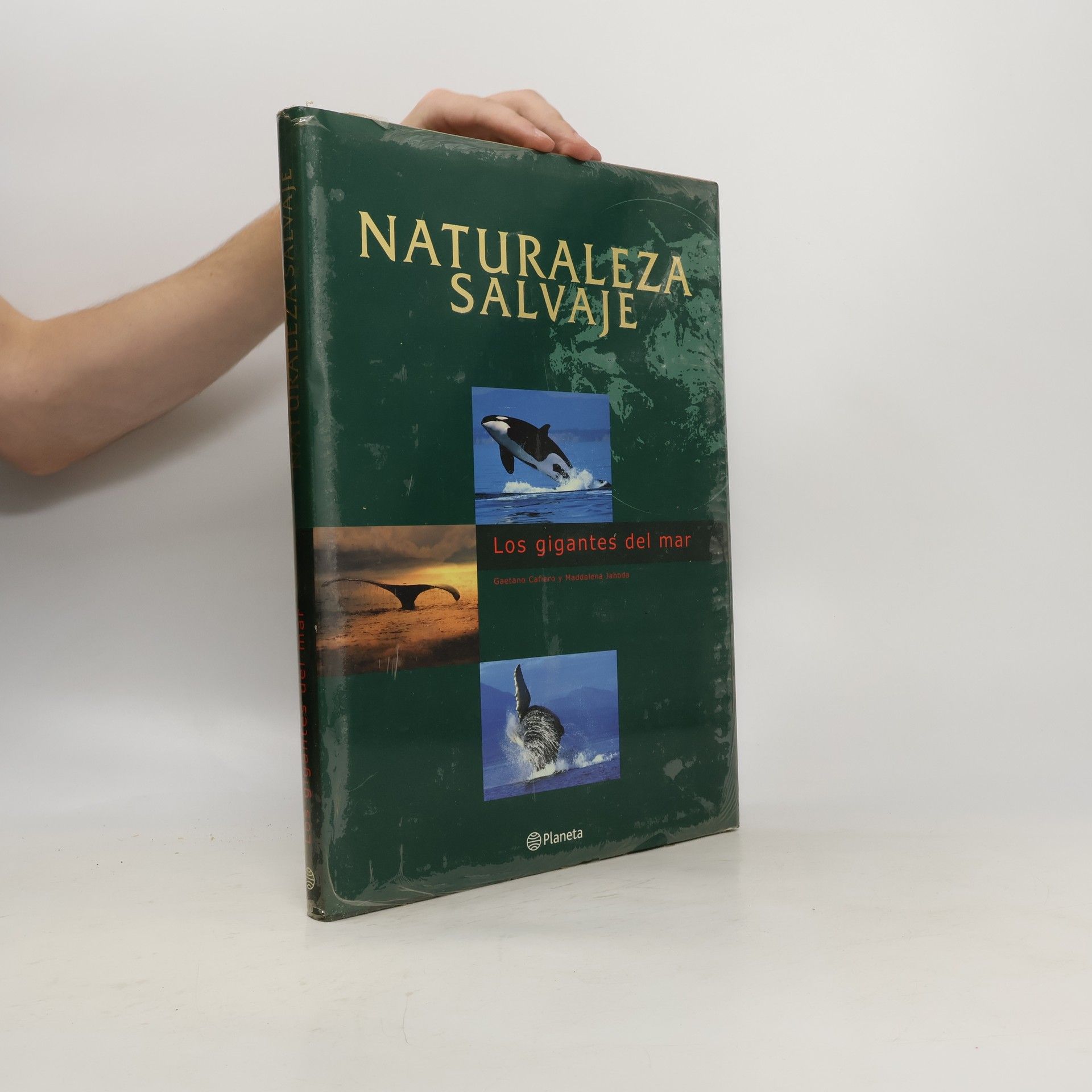 Gaetano Cafiero Naturaleza Salvaje